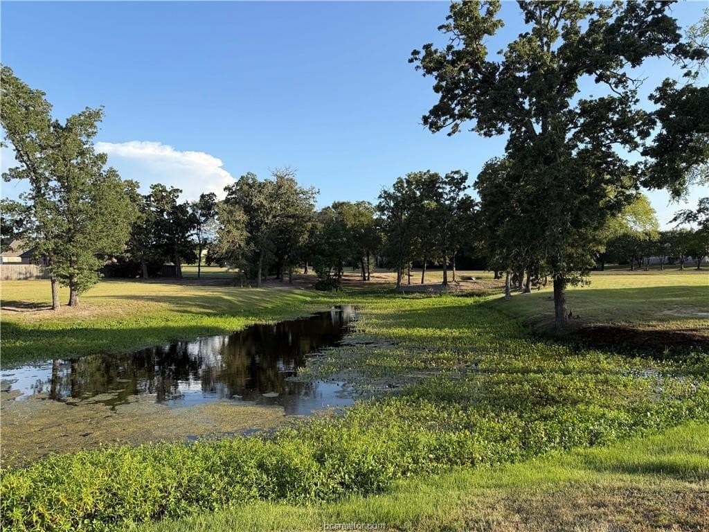 2 acres in Brazos County gallery image 3