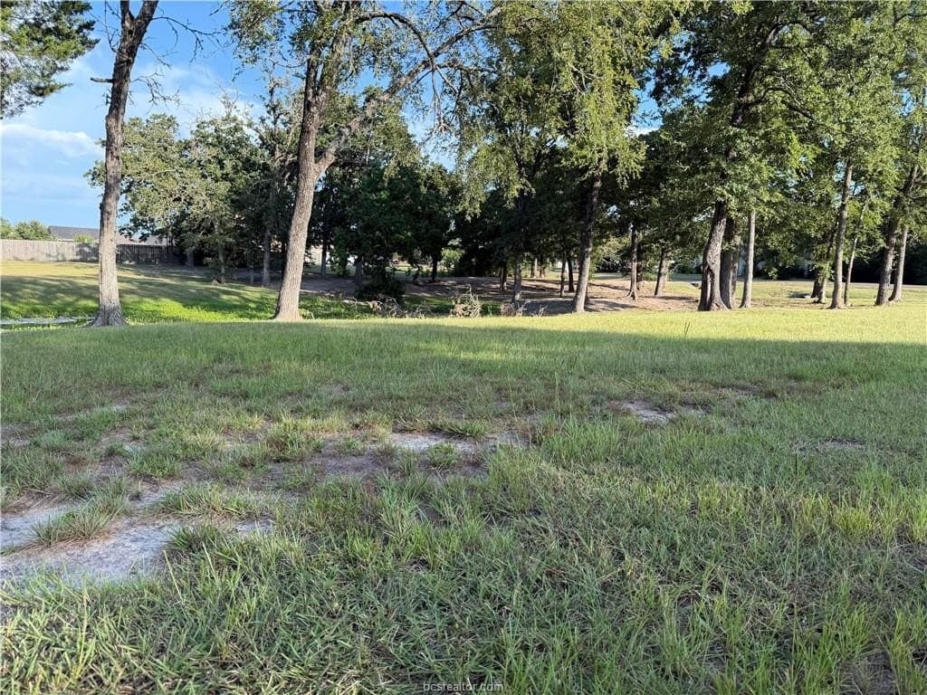 2 acres in Brazos County gallery image 4