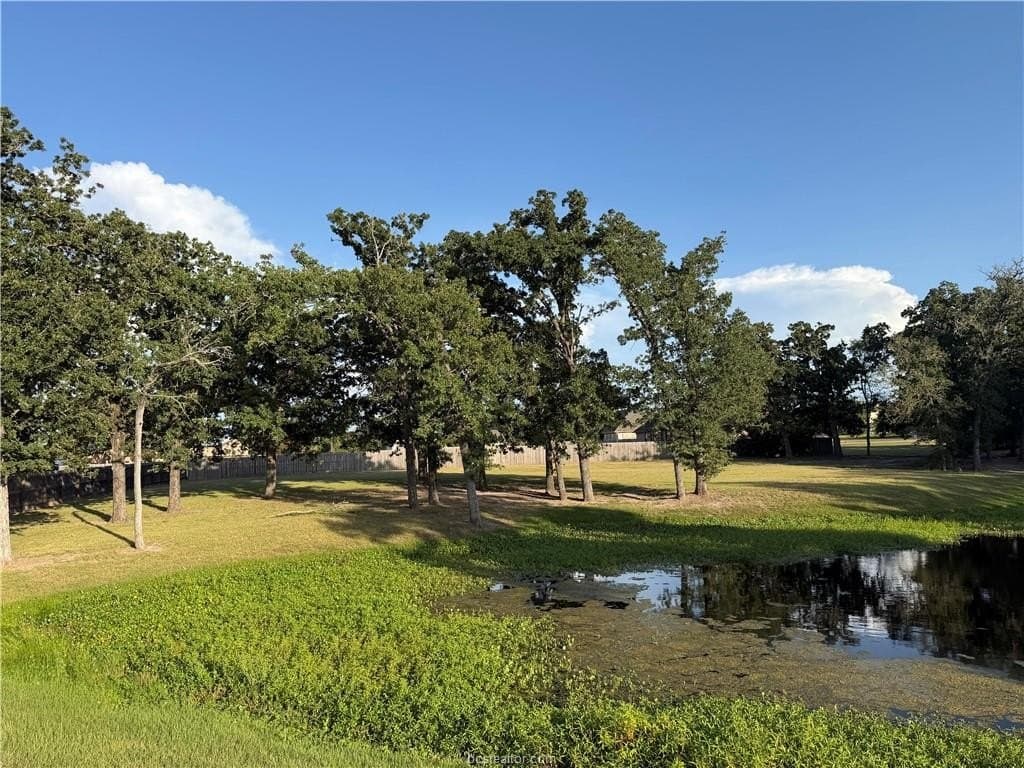 2 acres in Brazos County gallery image 2