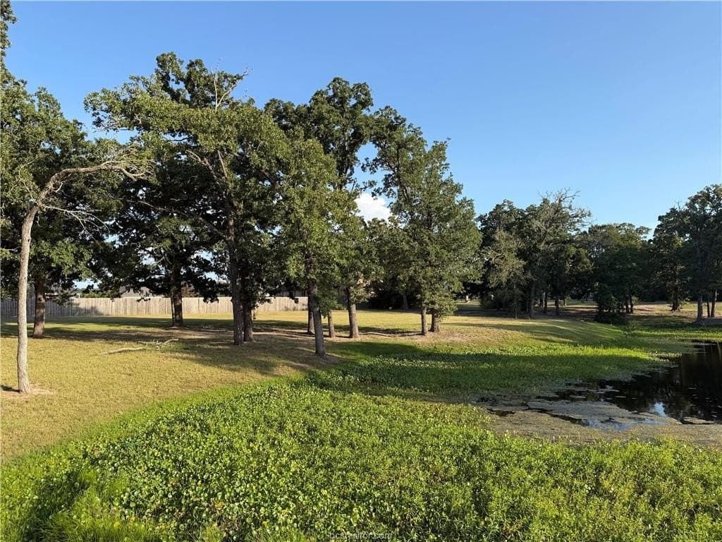 2 acres in Brazos County - photo 6
