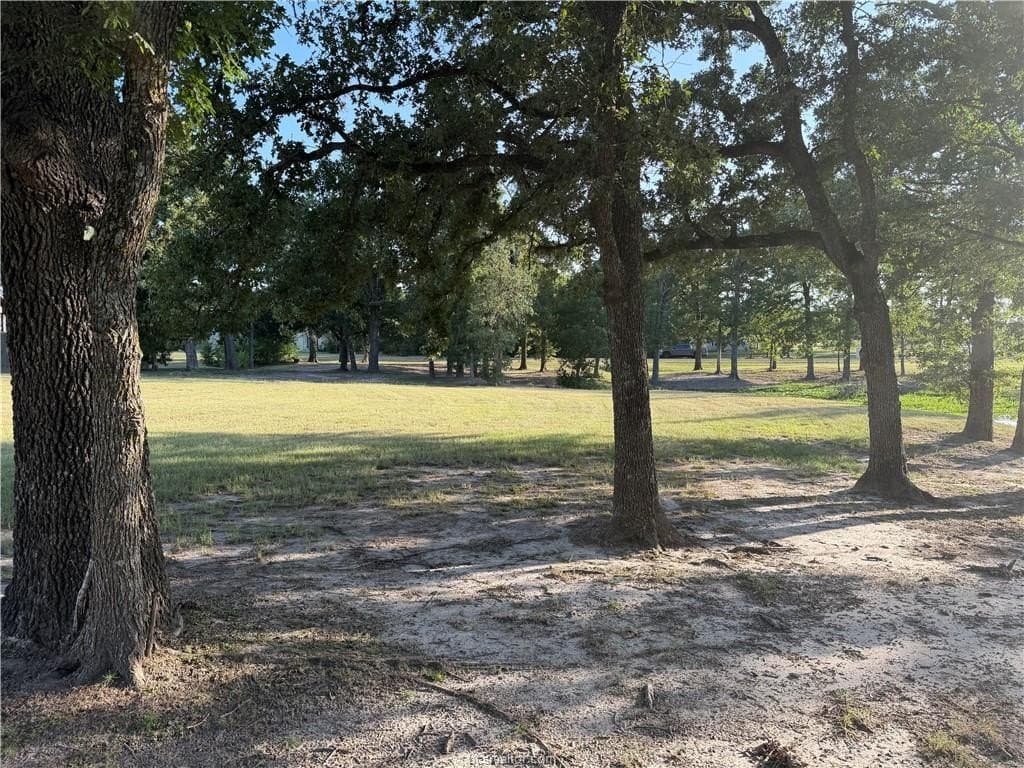 2 acres in Brazos County - photo 9