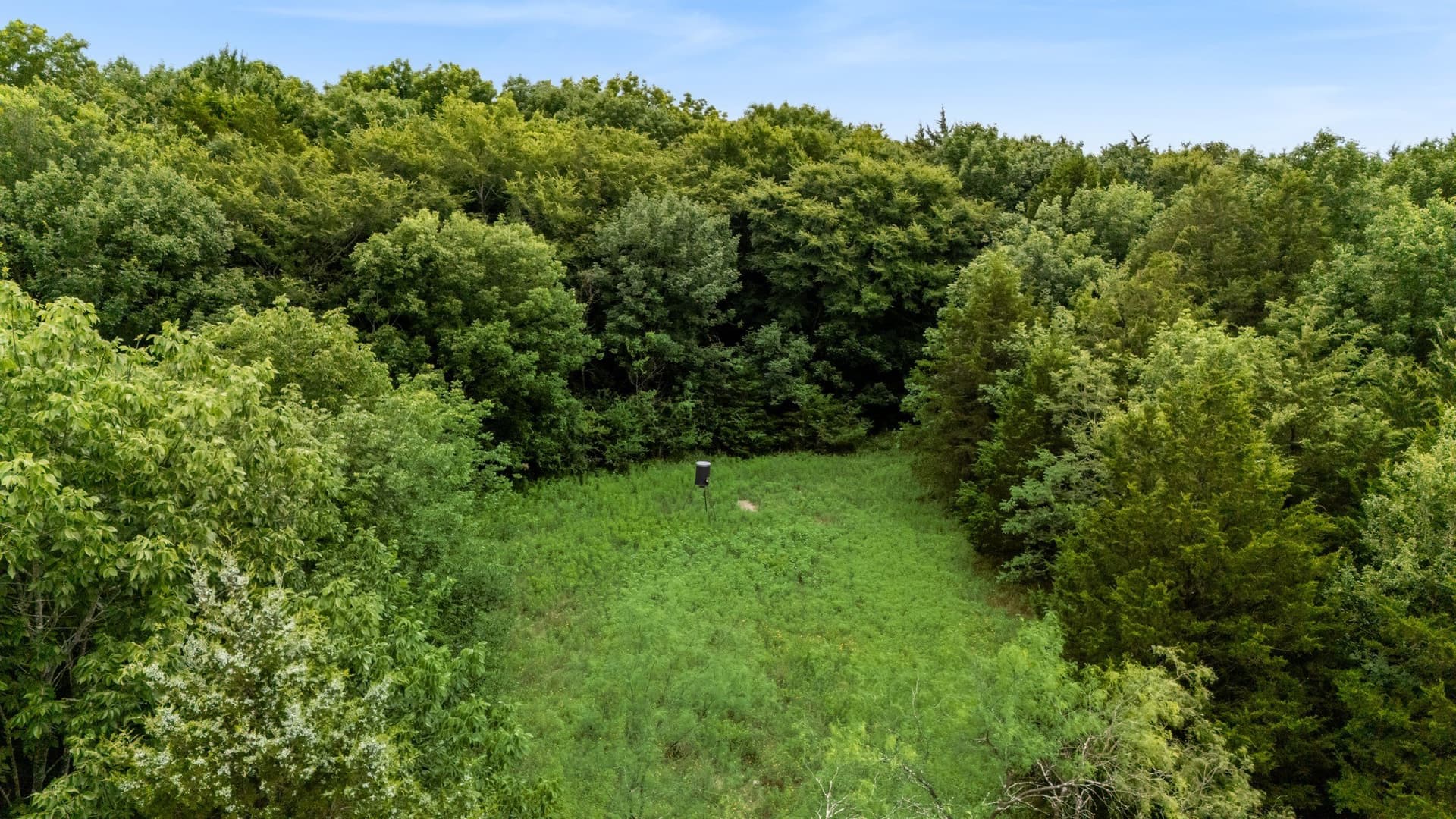 10 acres in Van Zandt County - photo 10