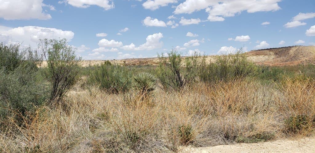 5 acres in Brewster County - photo 20