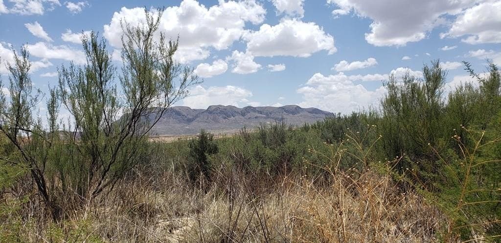 5 acres in Brewster County
