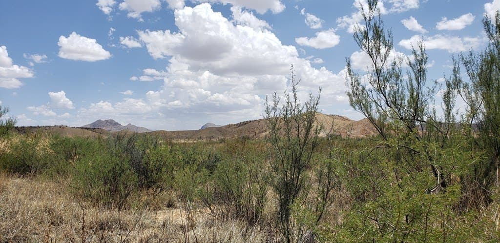 5 acres in Brewster County - photo 19
