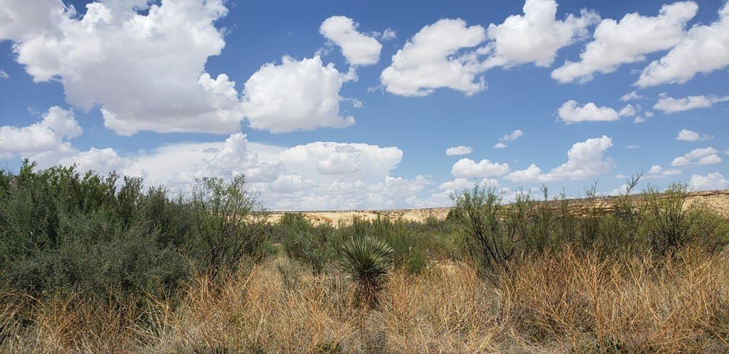 5 acres in Brewster County - photo 18