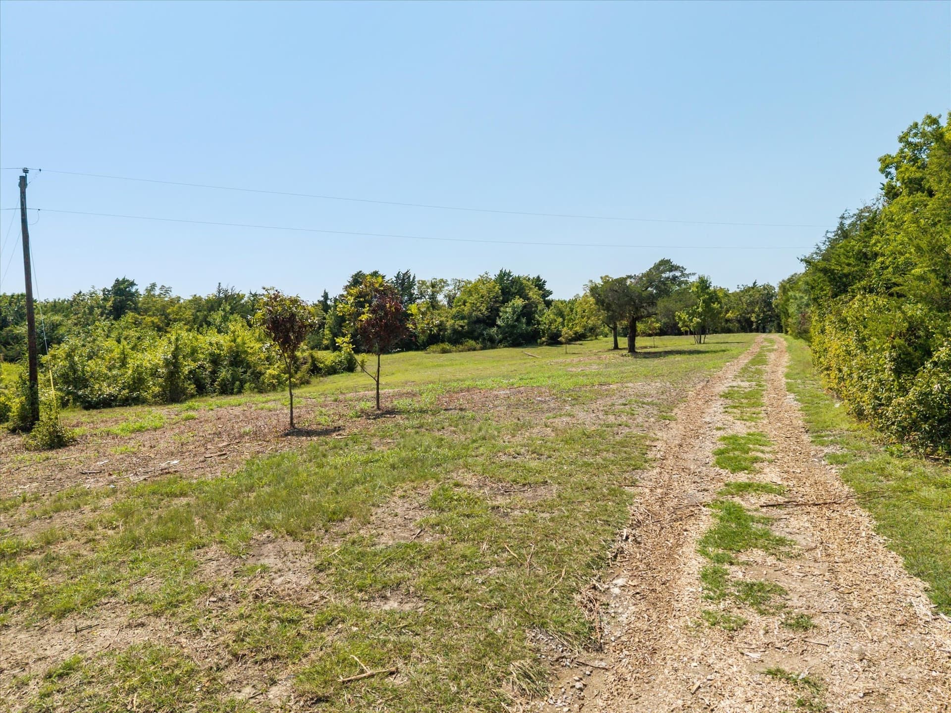 10.36 acres in Rockwall County - photo 17