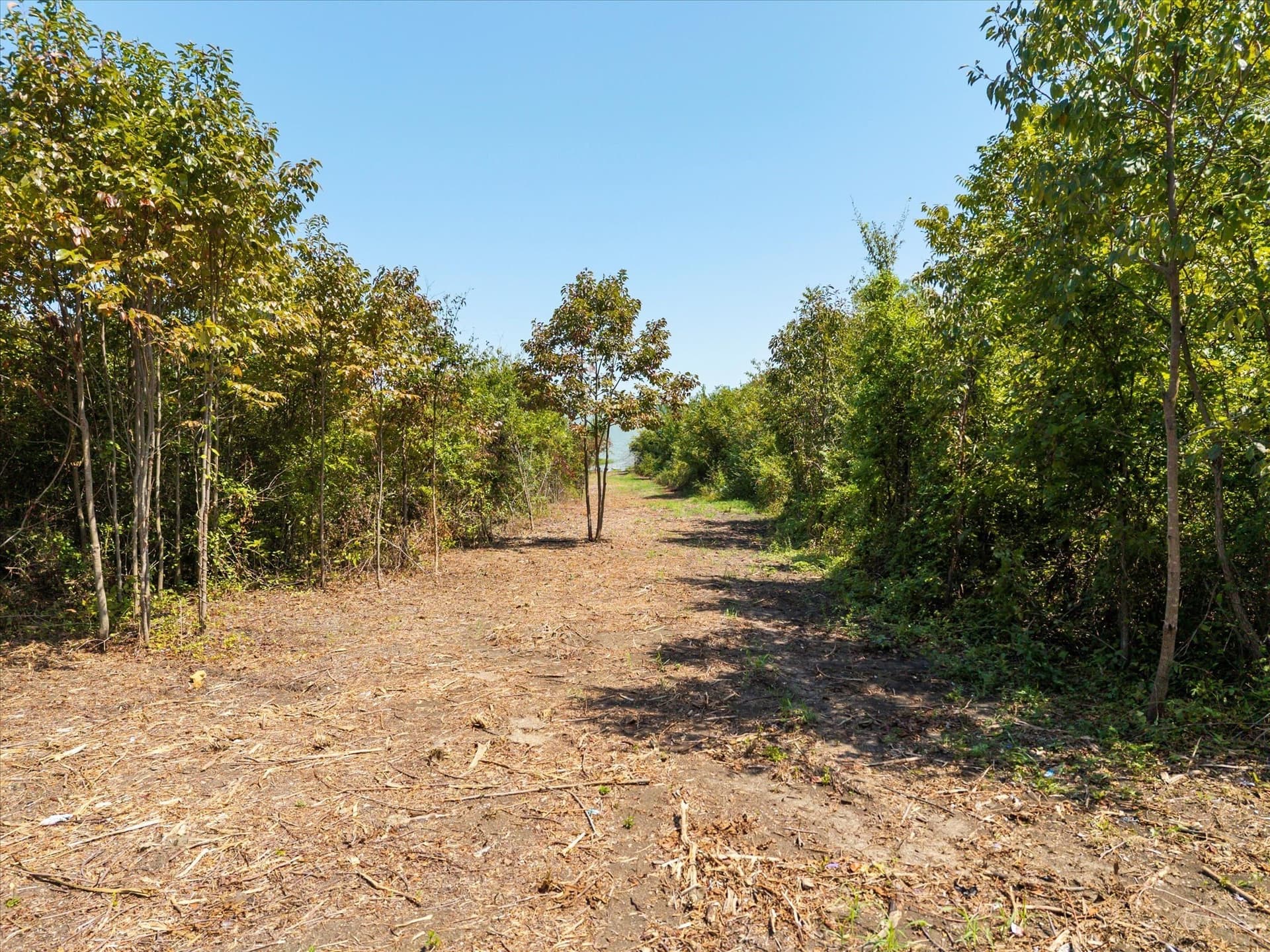 10.36 acres in Rockwall County - photo 11