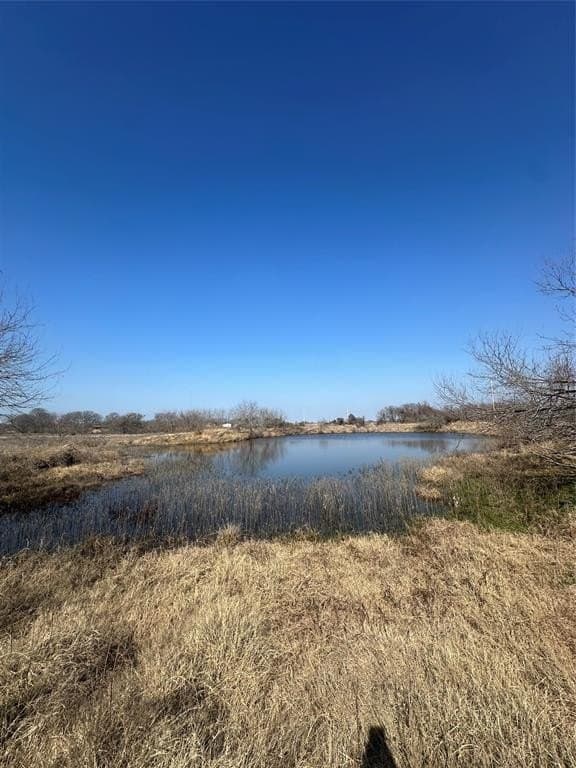 60 acres in Navarro County gallery image 4