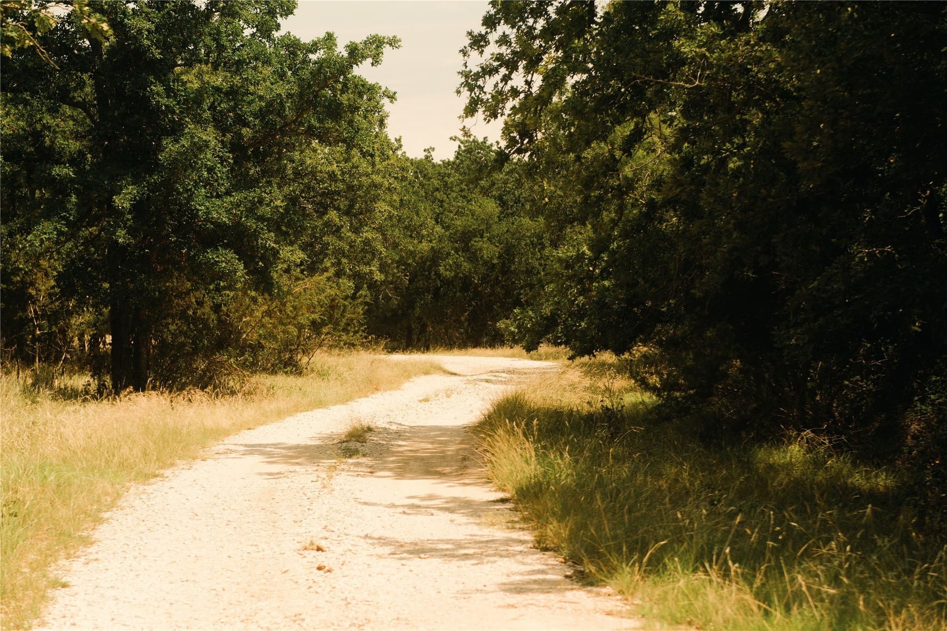 23.1 acres in Hood County - photo 11