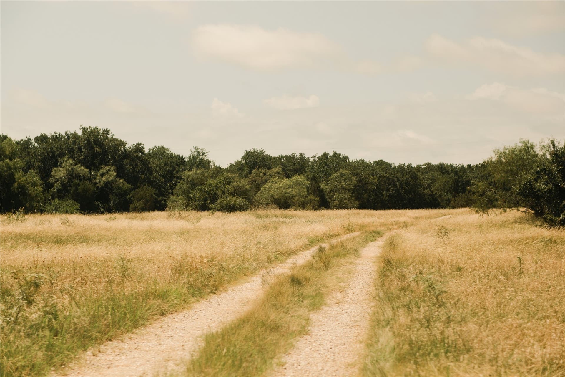 23.1 acres in Hood County - photo 36