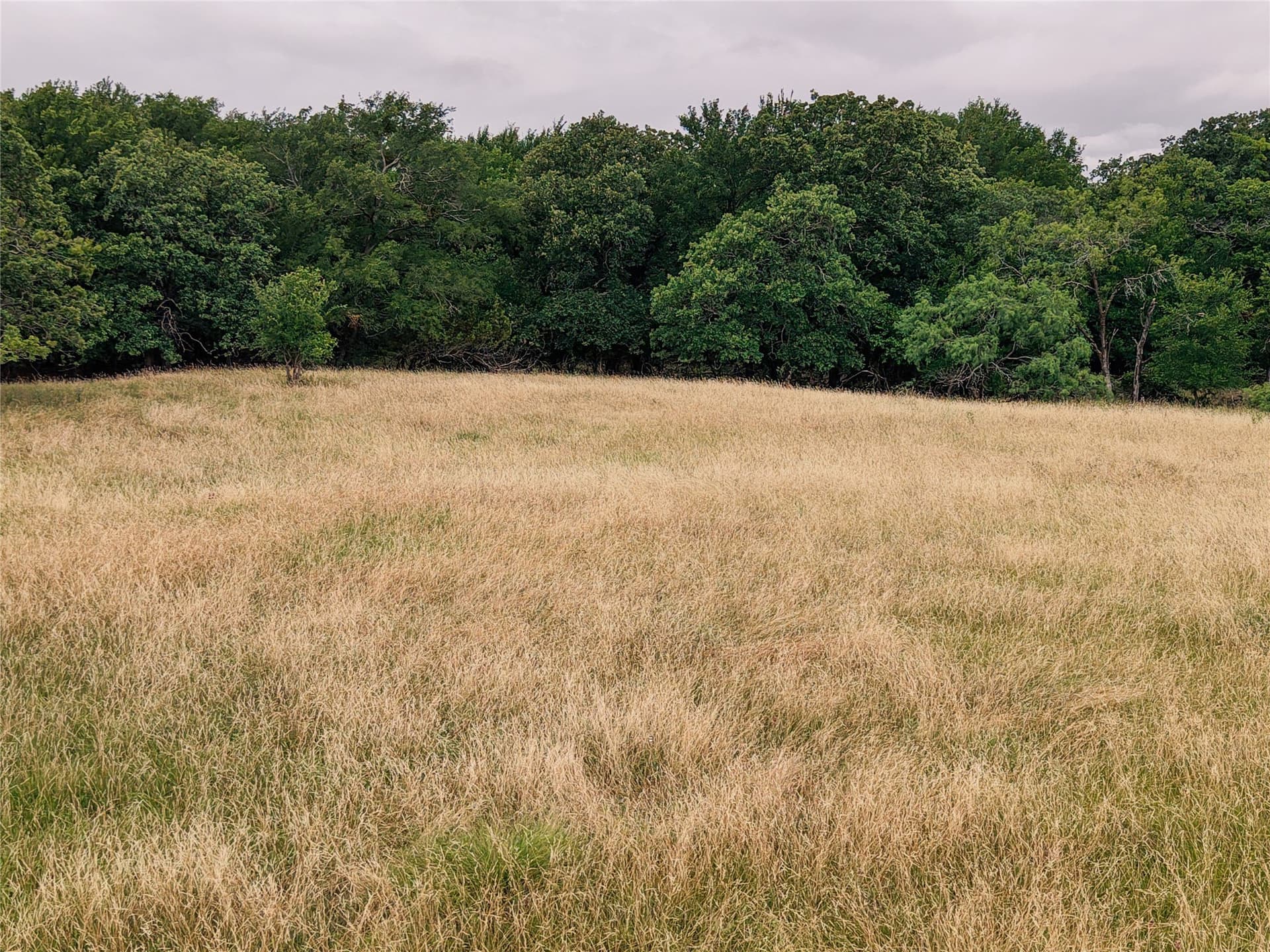 23.1 acres in Hood County - photo 6
