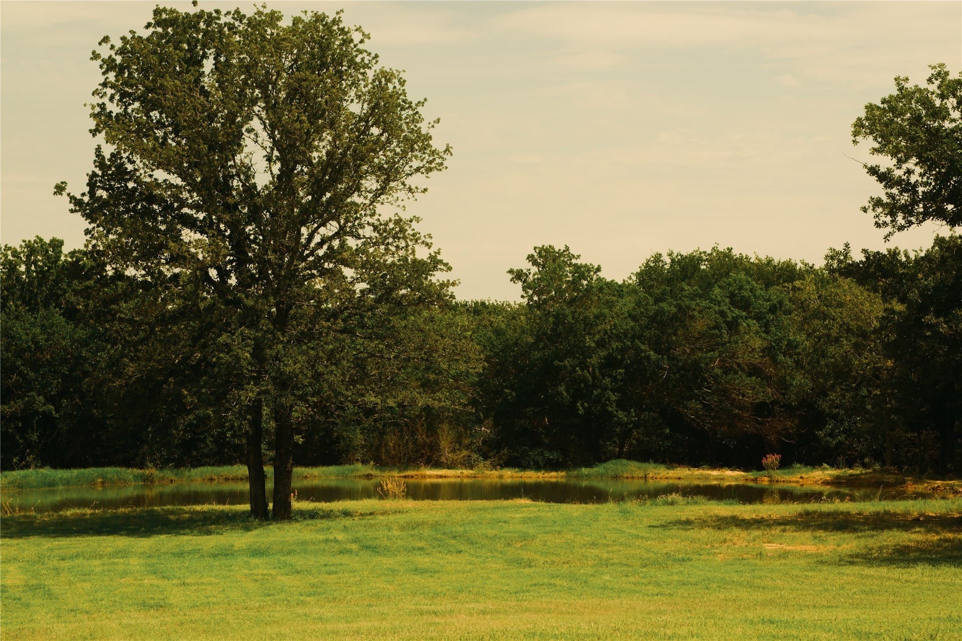 23.1 acres in Hood County - photo 15