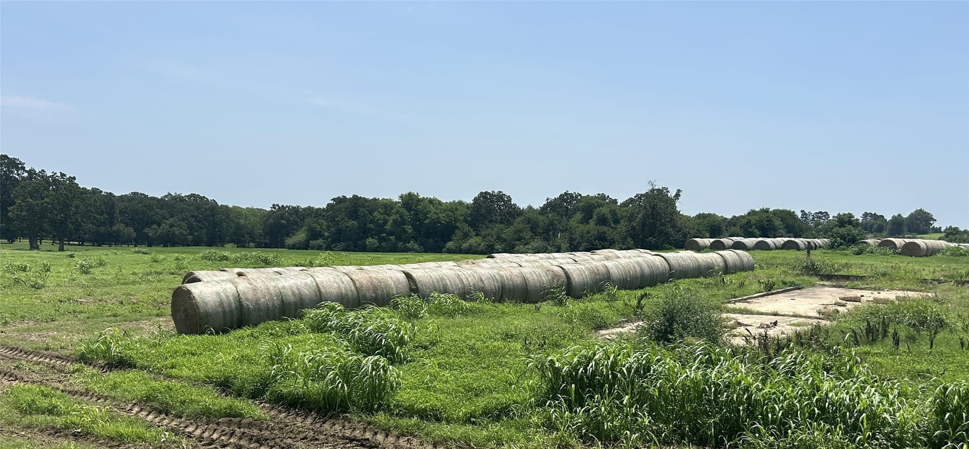 10.2 acres in Hopkins County - photo 5