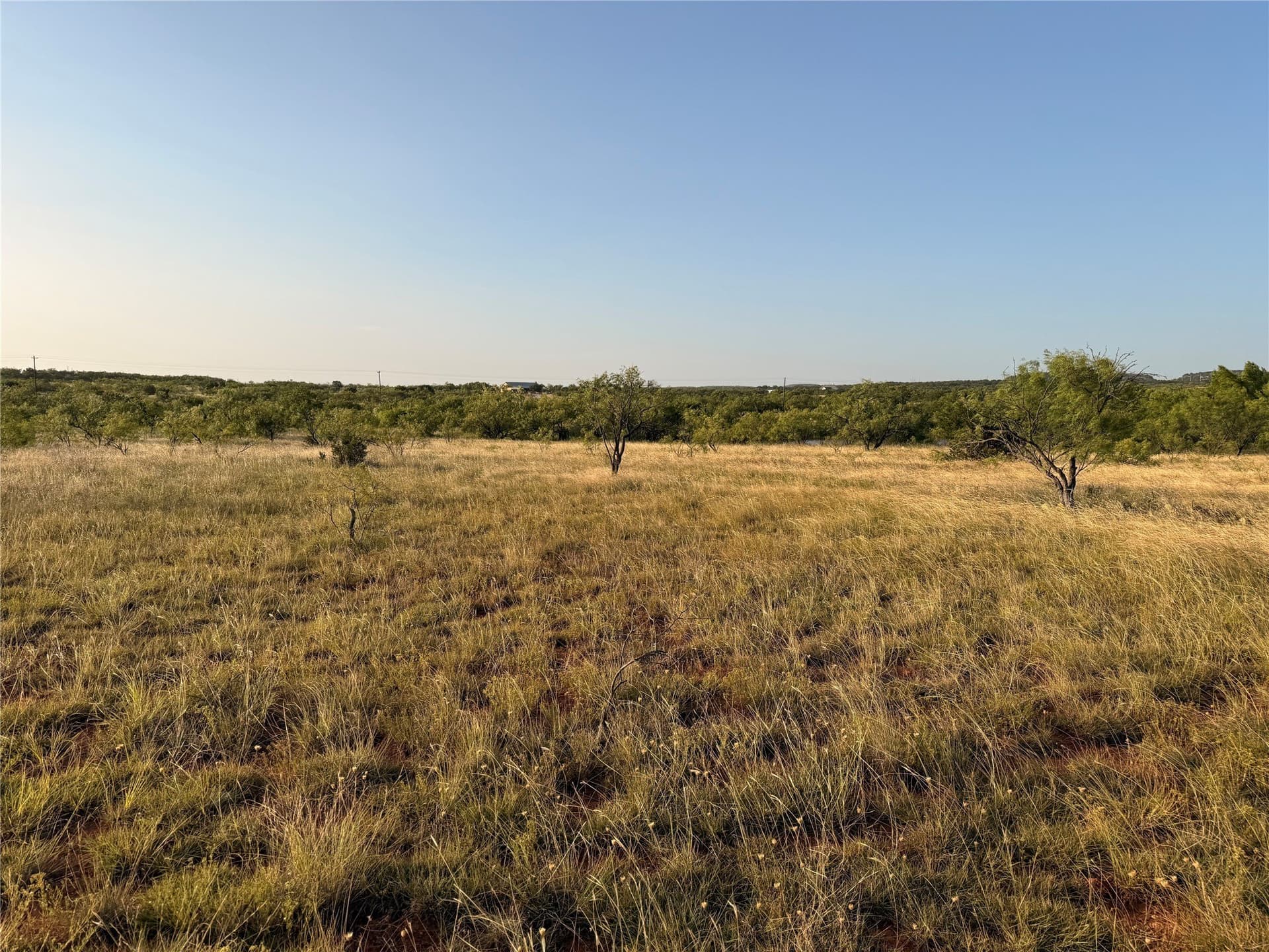 14 acres in Taylor County - photo 3