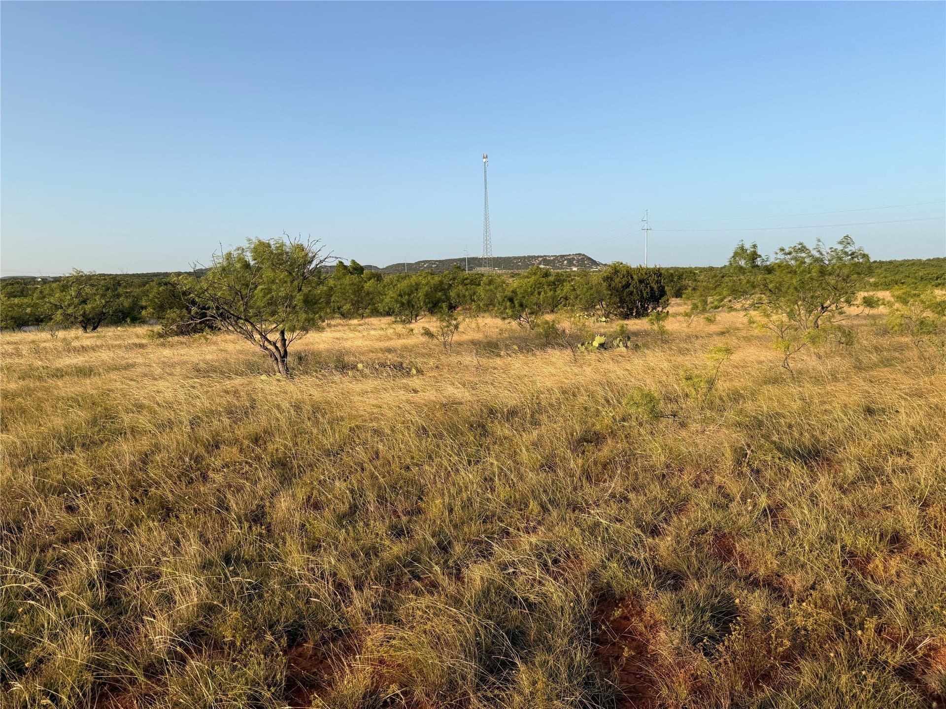 14 acres in Taylor County