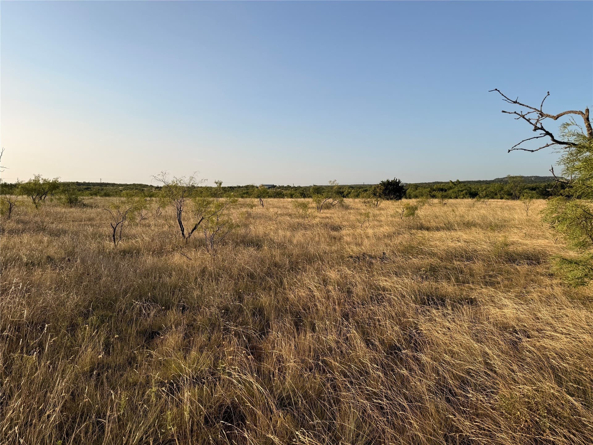 14 acres in Taylor County - photo 2