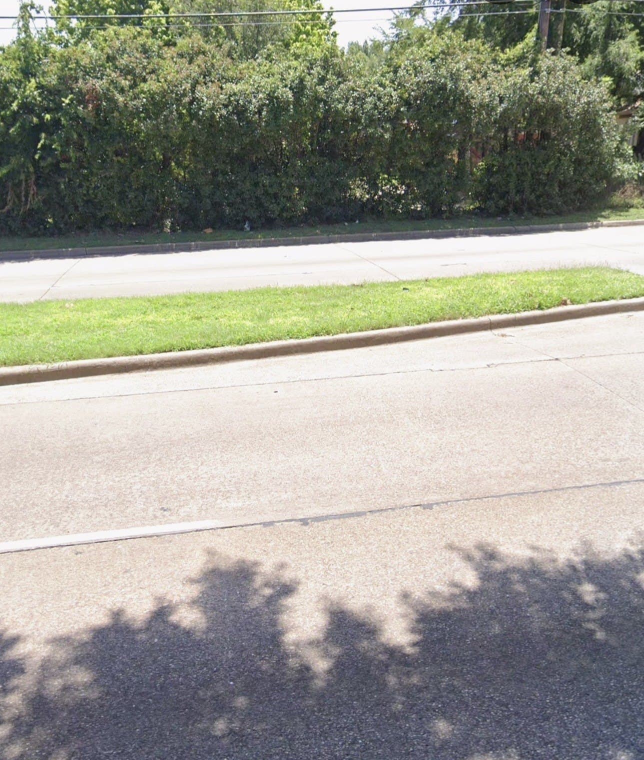 0.74 acres in Dallas County - photo 5
