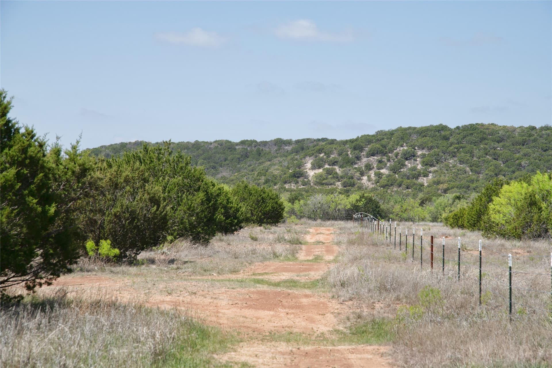 17.71 acres in Taylor County - photo 26