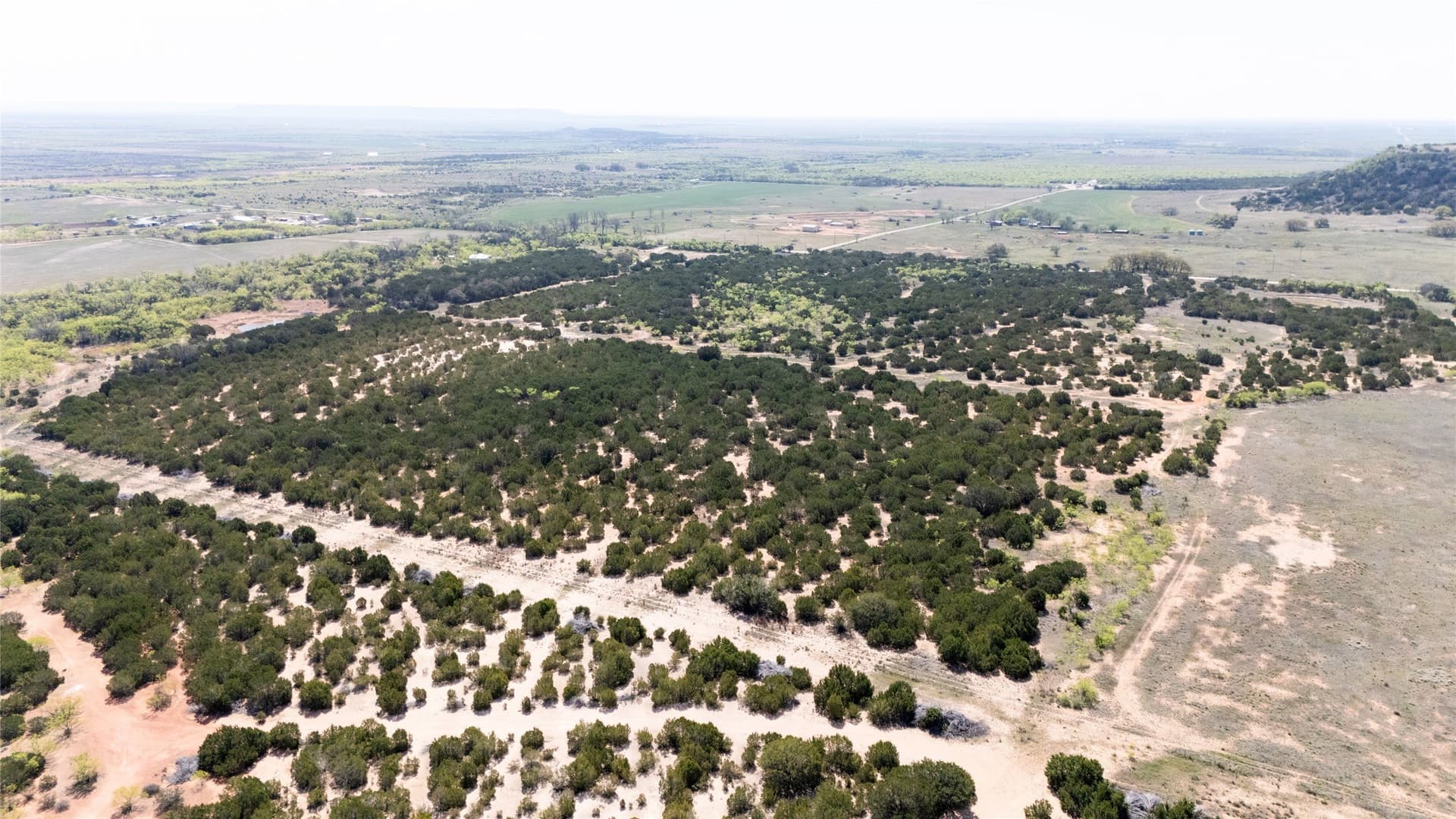 17.71 acres in Taylor County - photo 6
