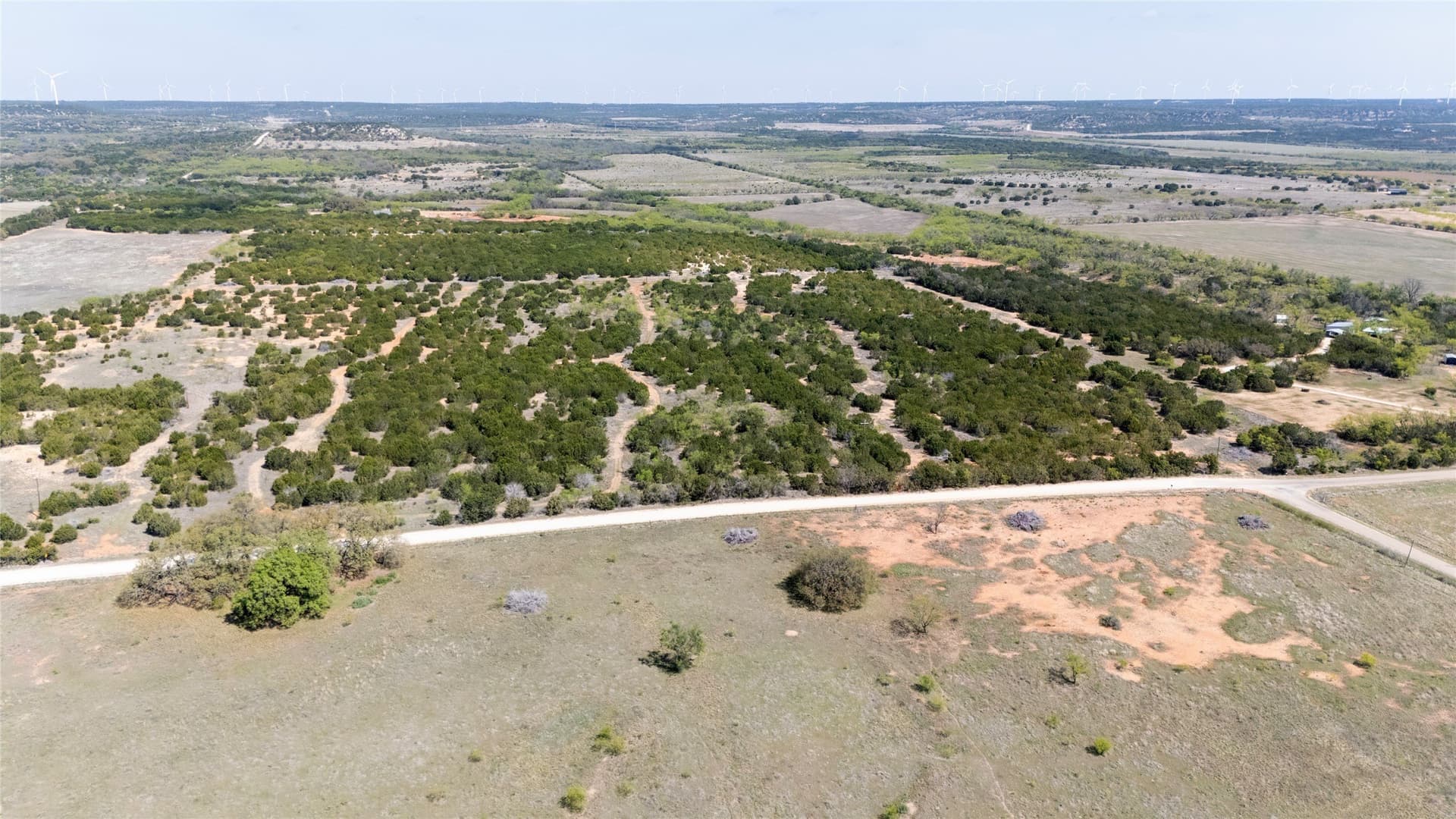 17.71 acres in Taylor County gallery image 2