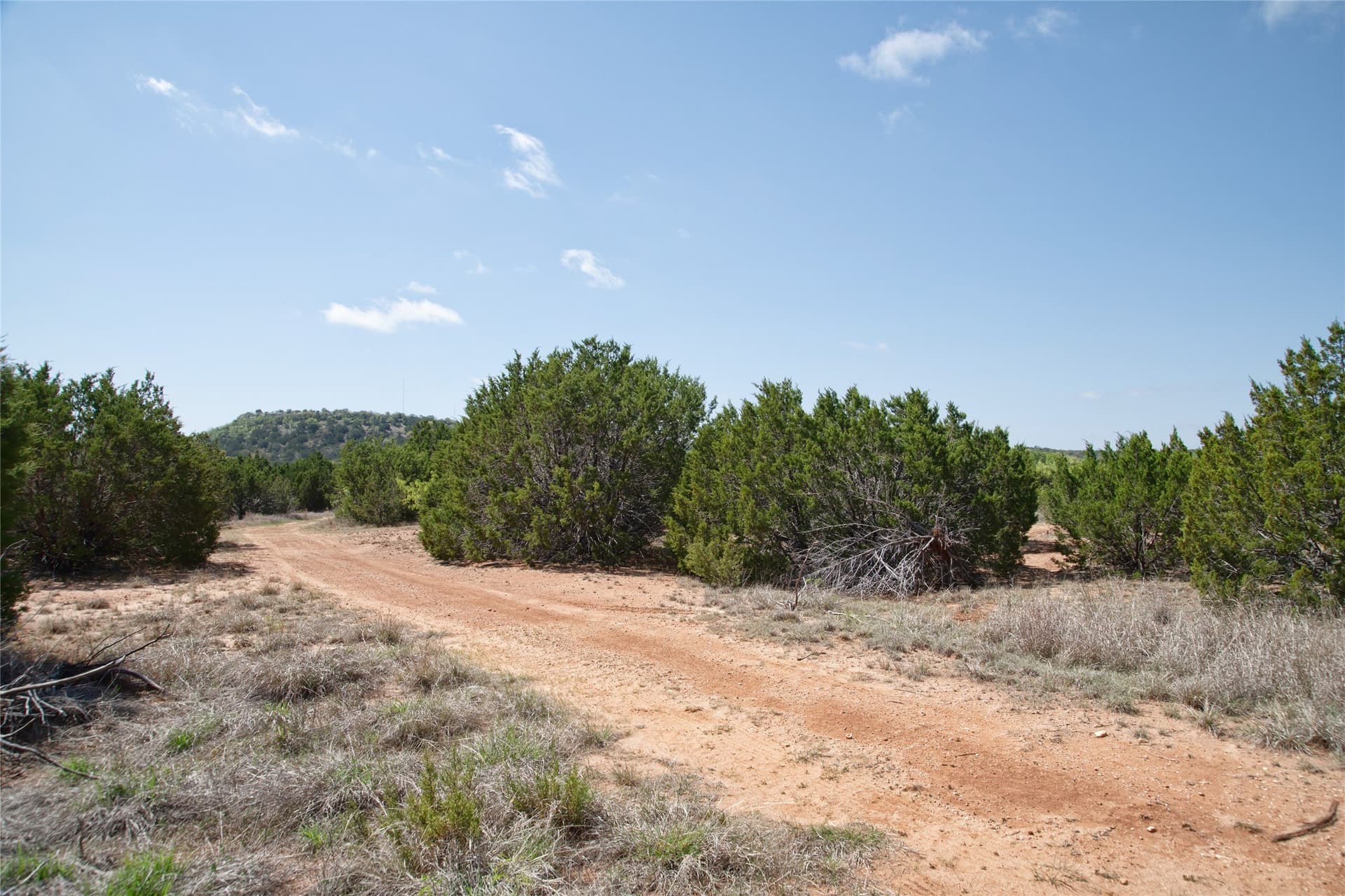 17.71 acres in Taylor County - photo 23