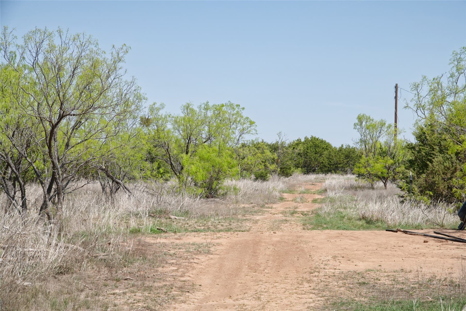 17.71 acres in Taylor County - photo 29
