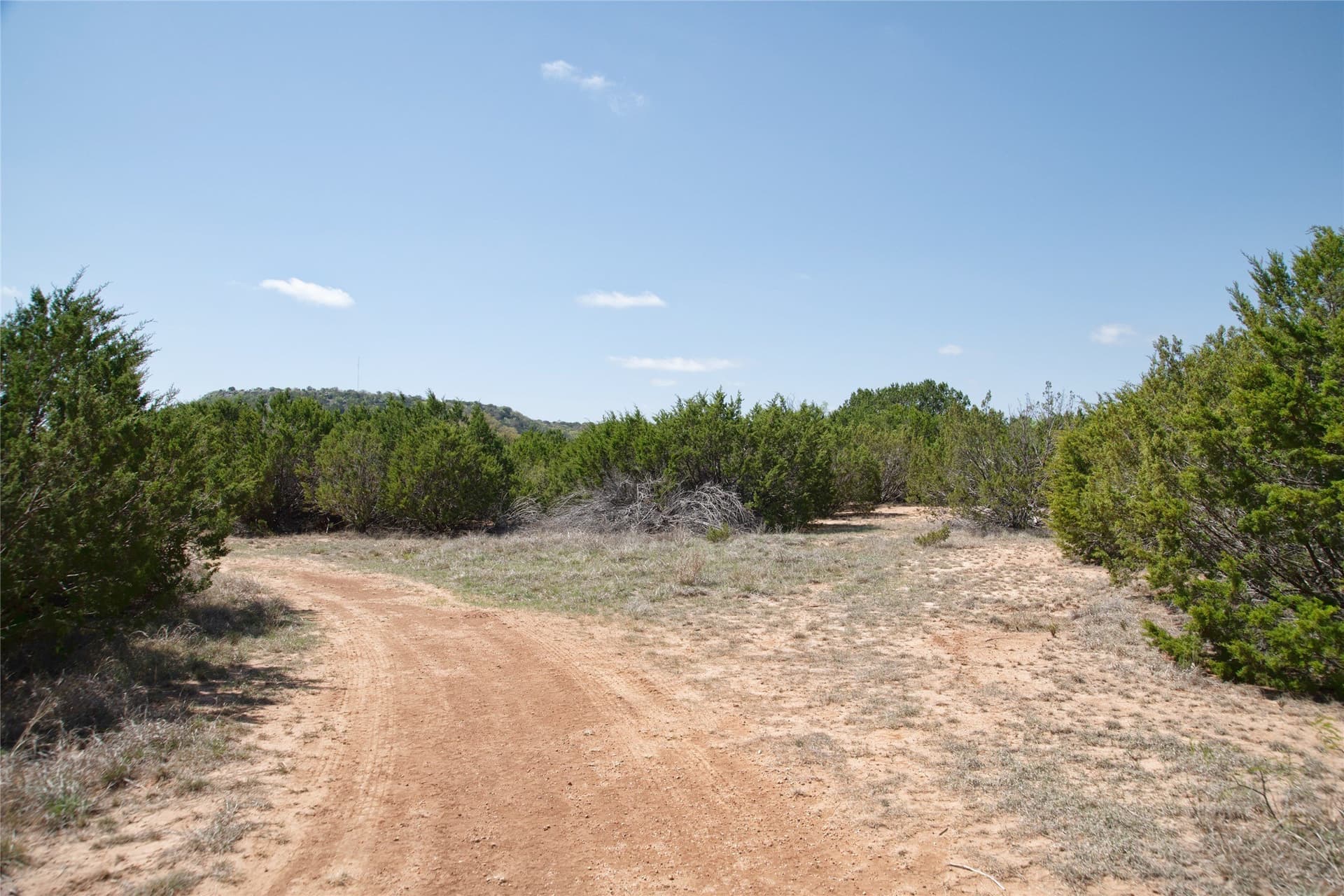 17.71 acres in Taylor County - photo 30