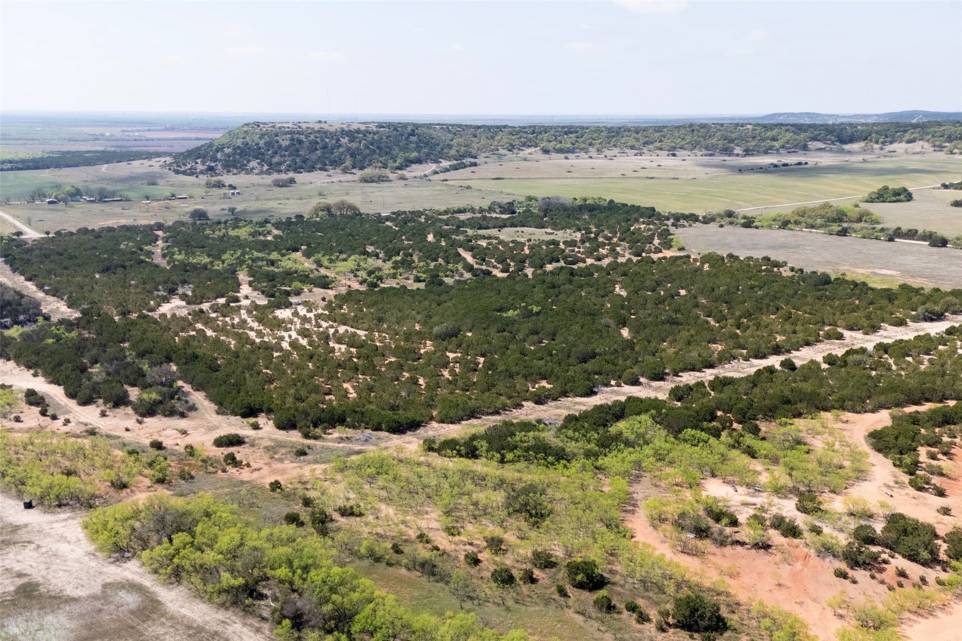 17.71 acres in Taylor County gallery image 4