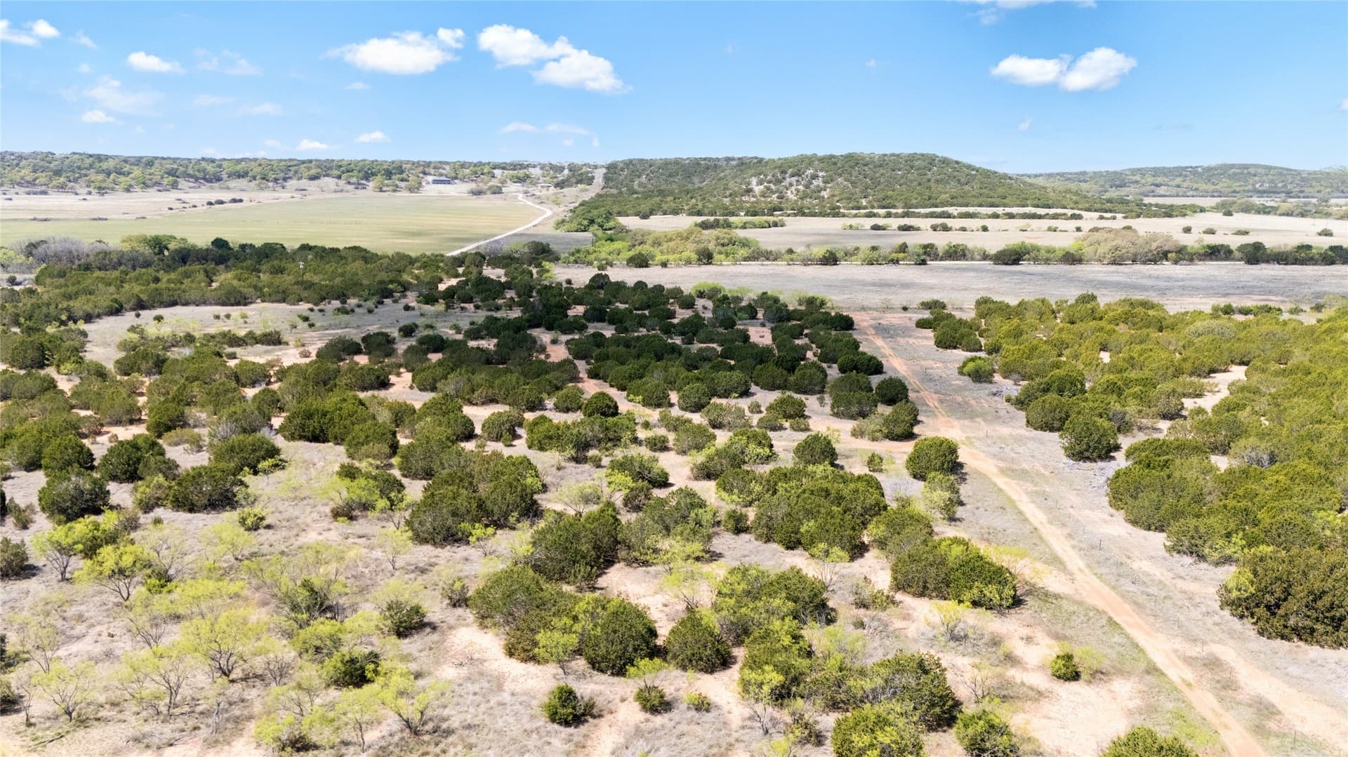 17.71 acres in Taylor County - photo 15