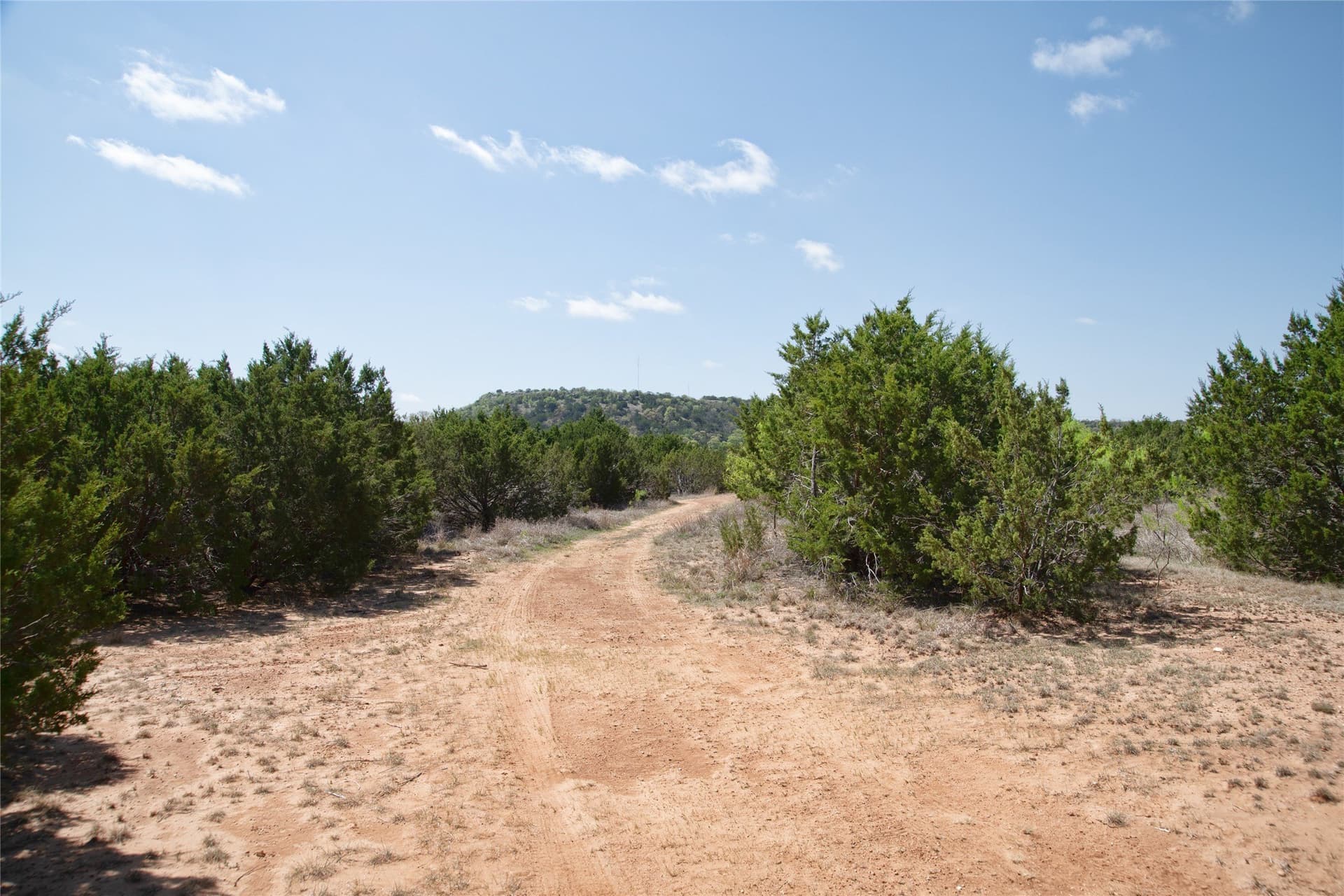 17.71 acres in Taylor County - photo 22