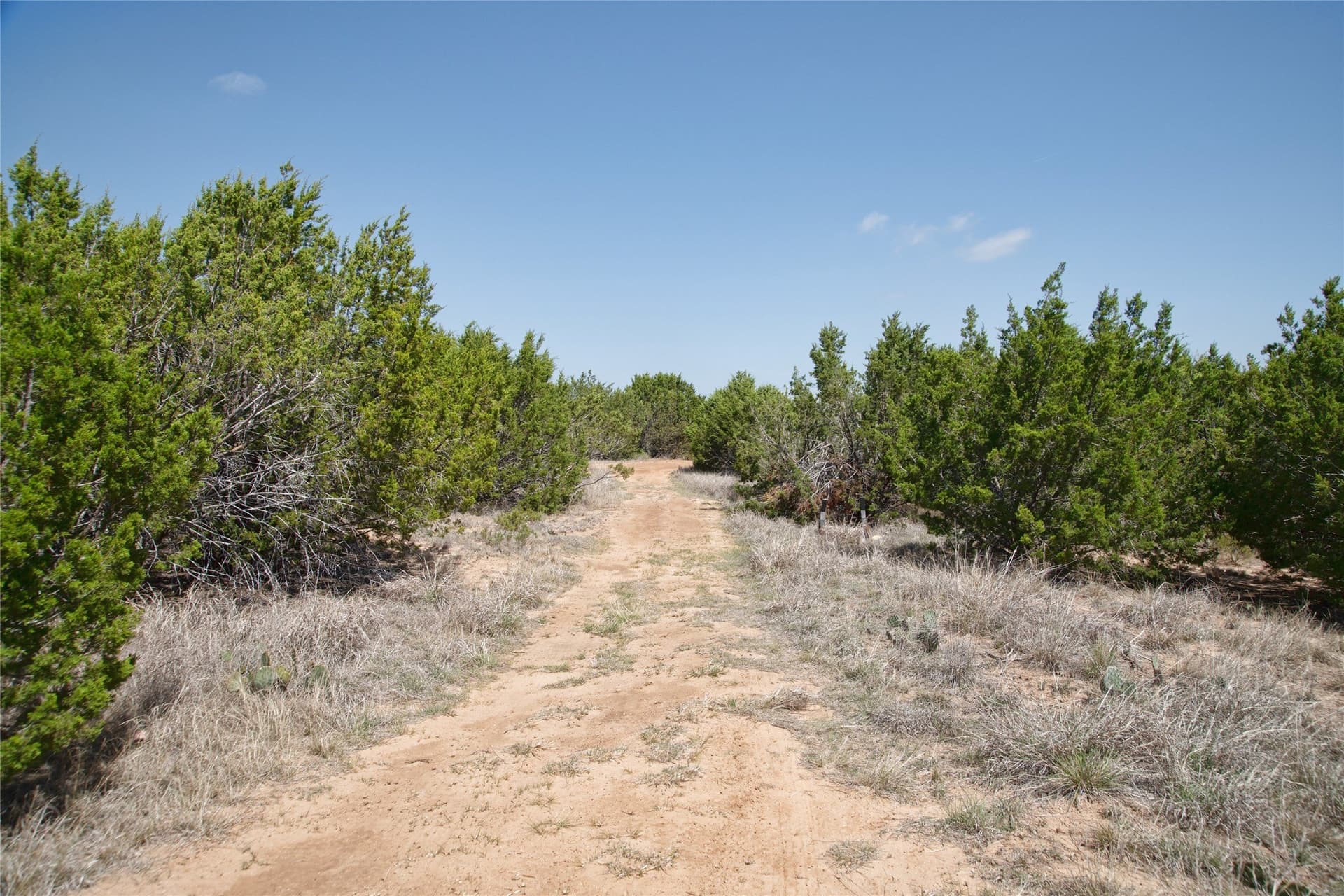 17.71 acres in Taylor County - photo 20
