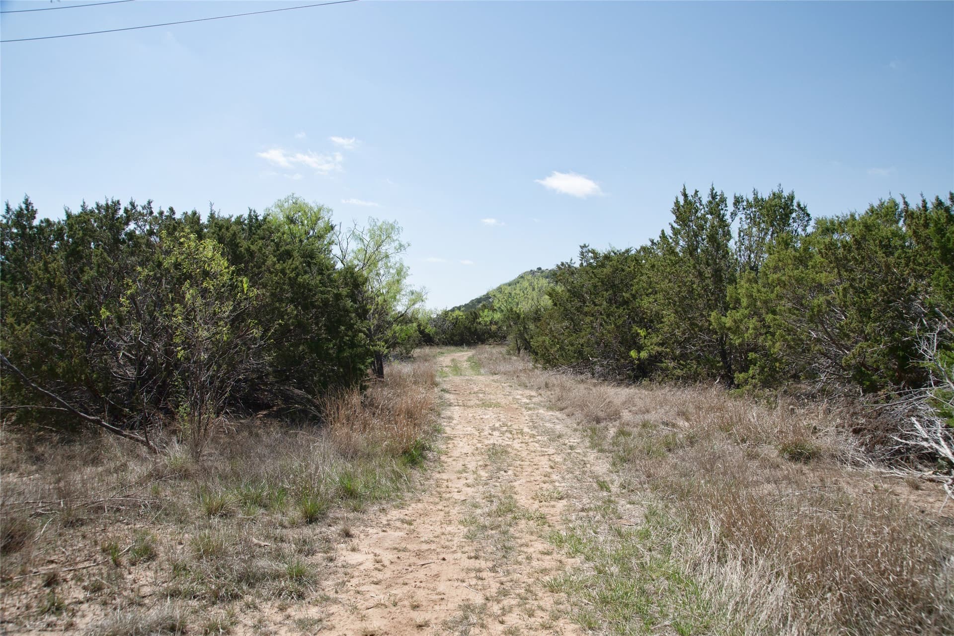 17.71 acres in Taylor County - photo 31