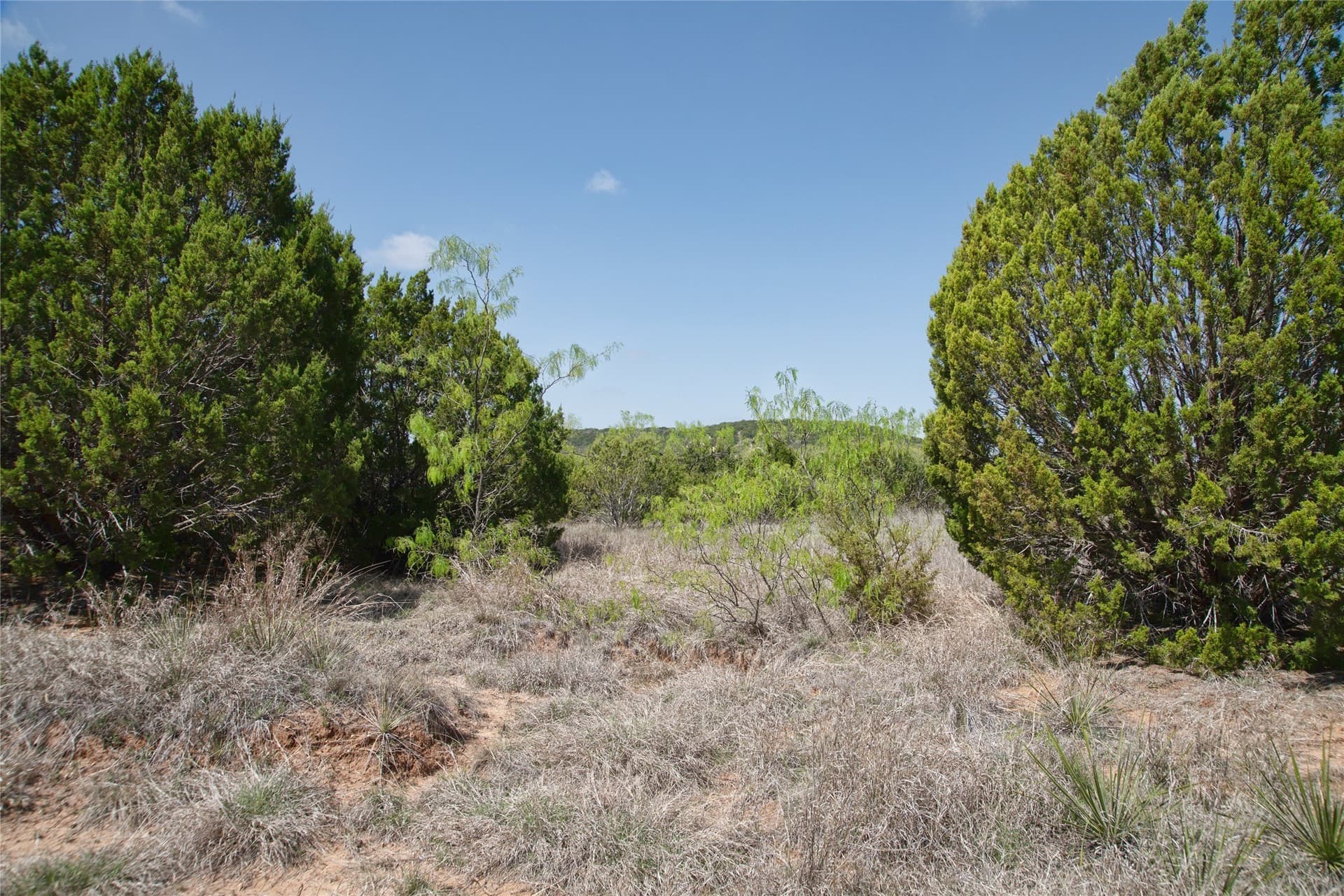 17.71 acres in Taylor County - photo 21
