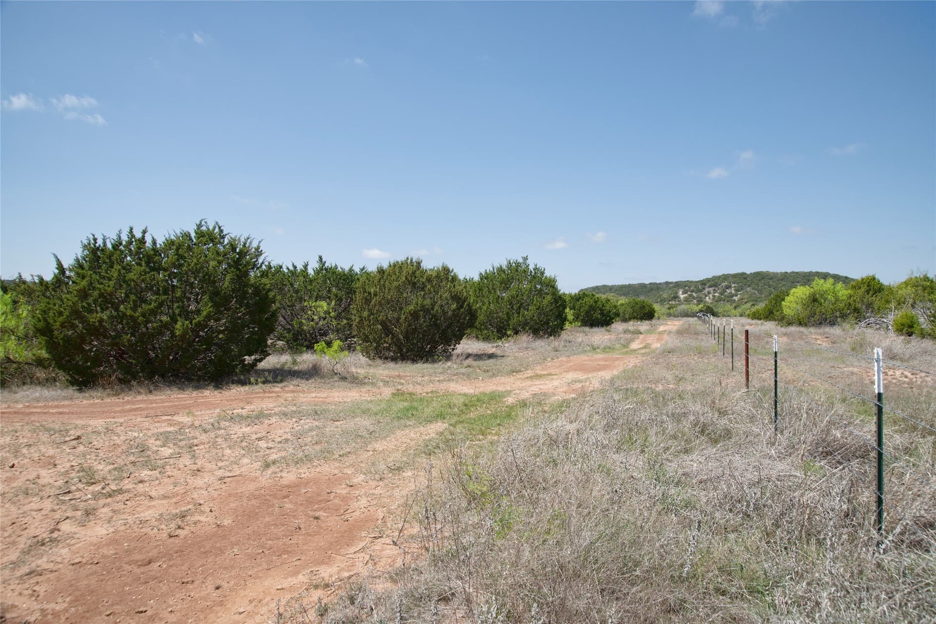 17.71 acres in Taylor County - photo 24