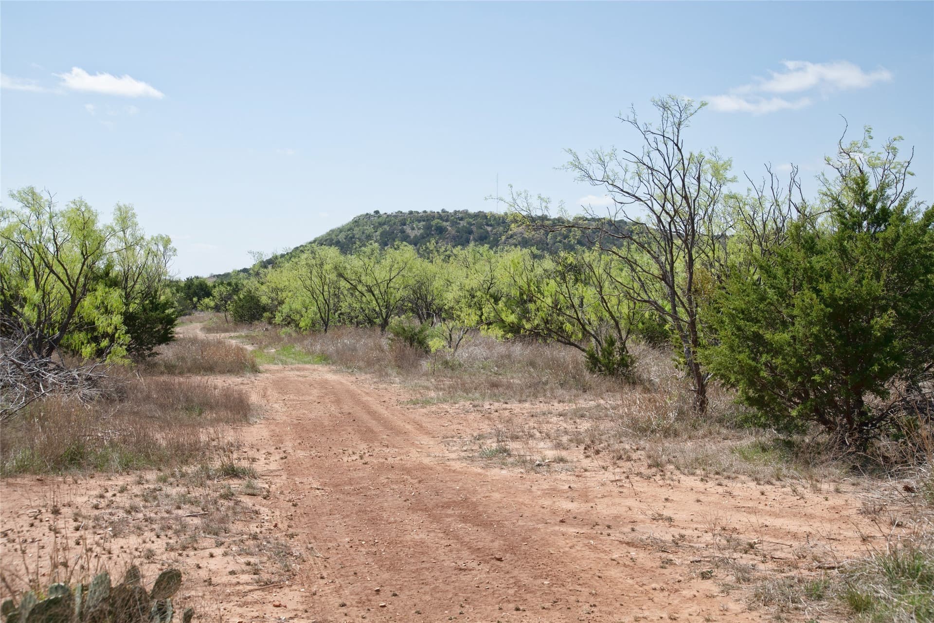 17.71 acres in Taylor County - photo 28