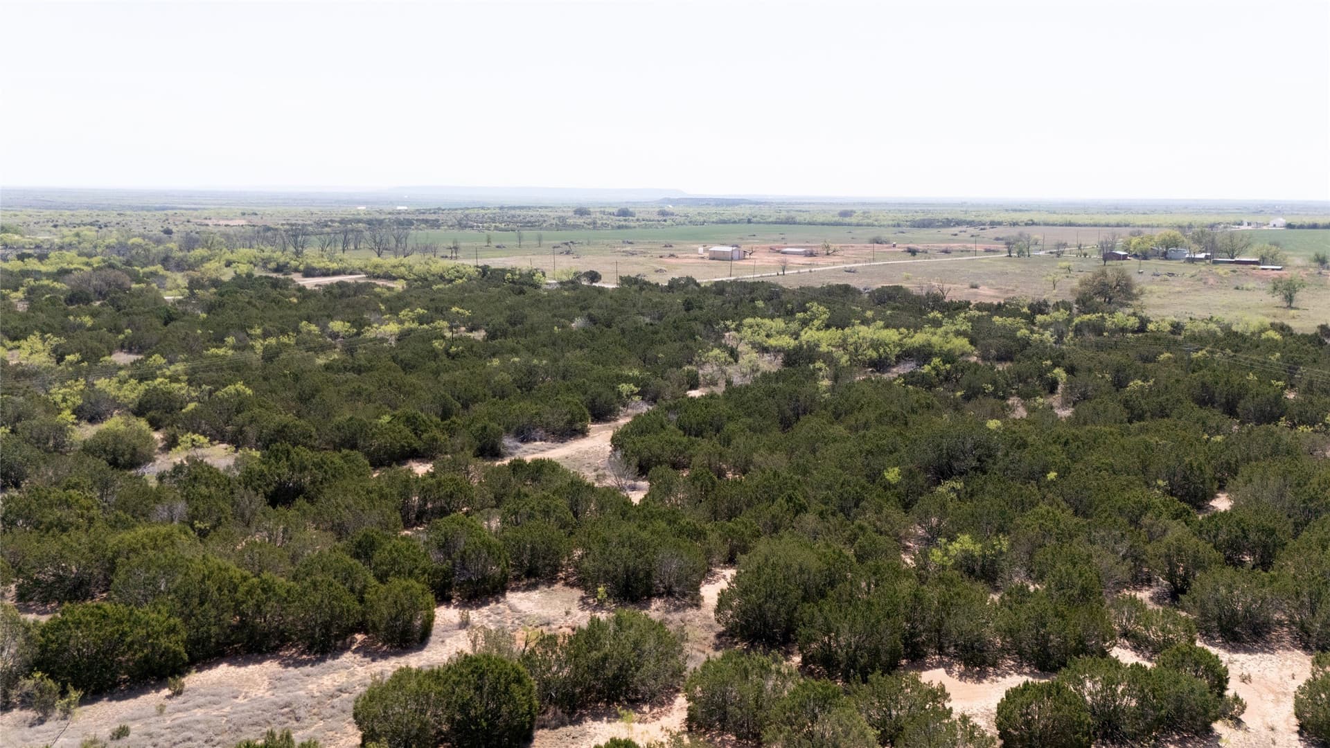 17.71 acres in Taylor County - photo 12