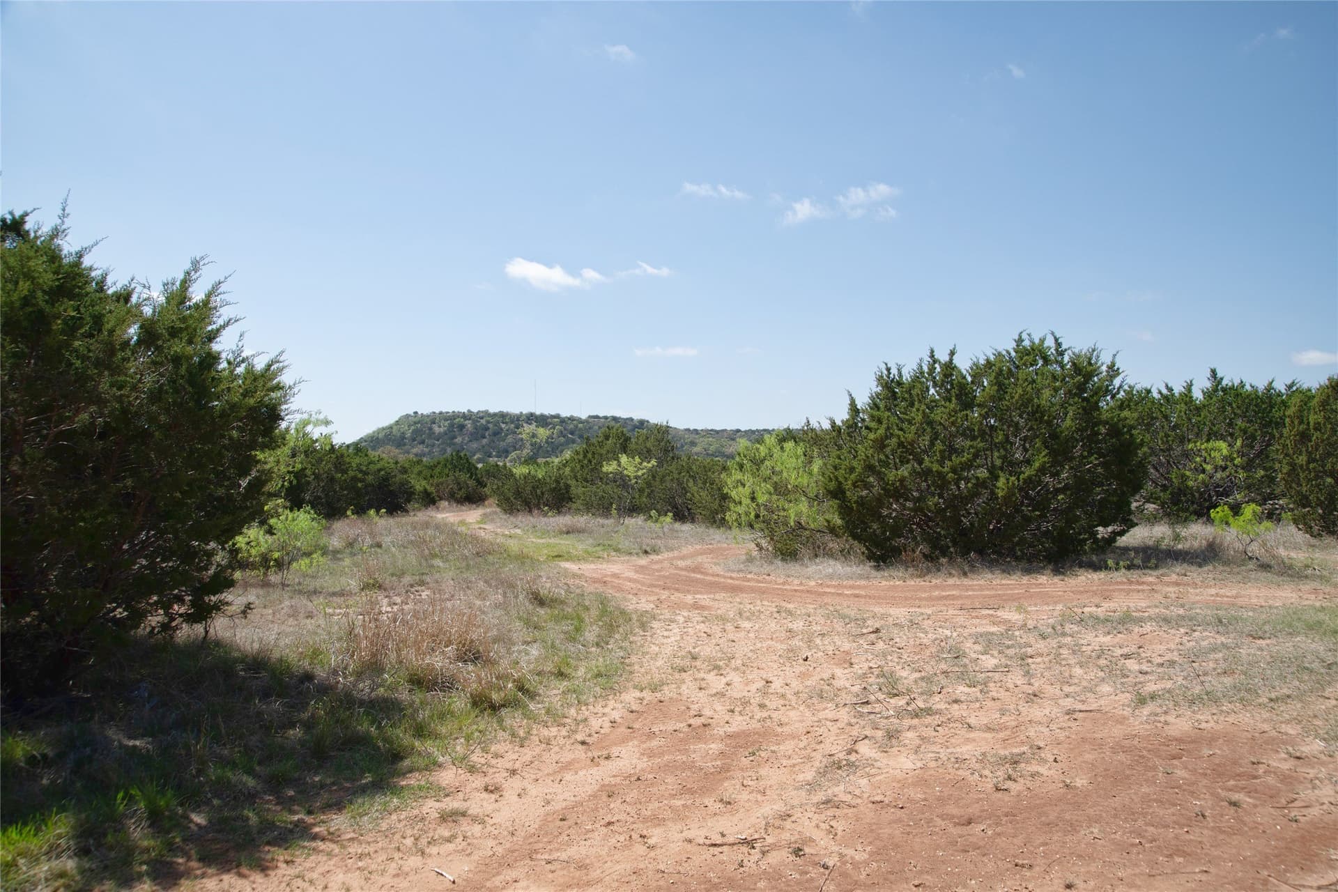 17.71 acres in Taylor County - photo 25