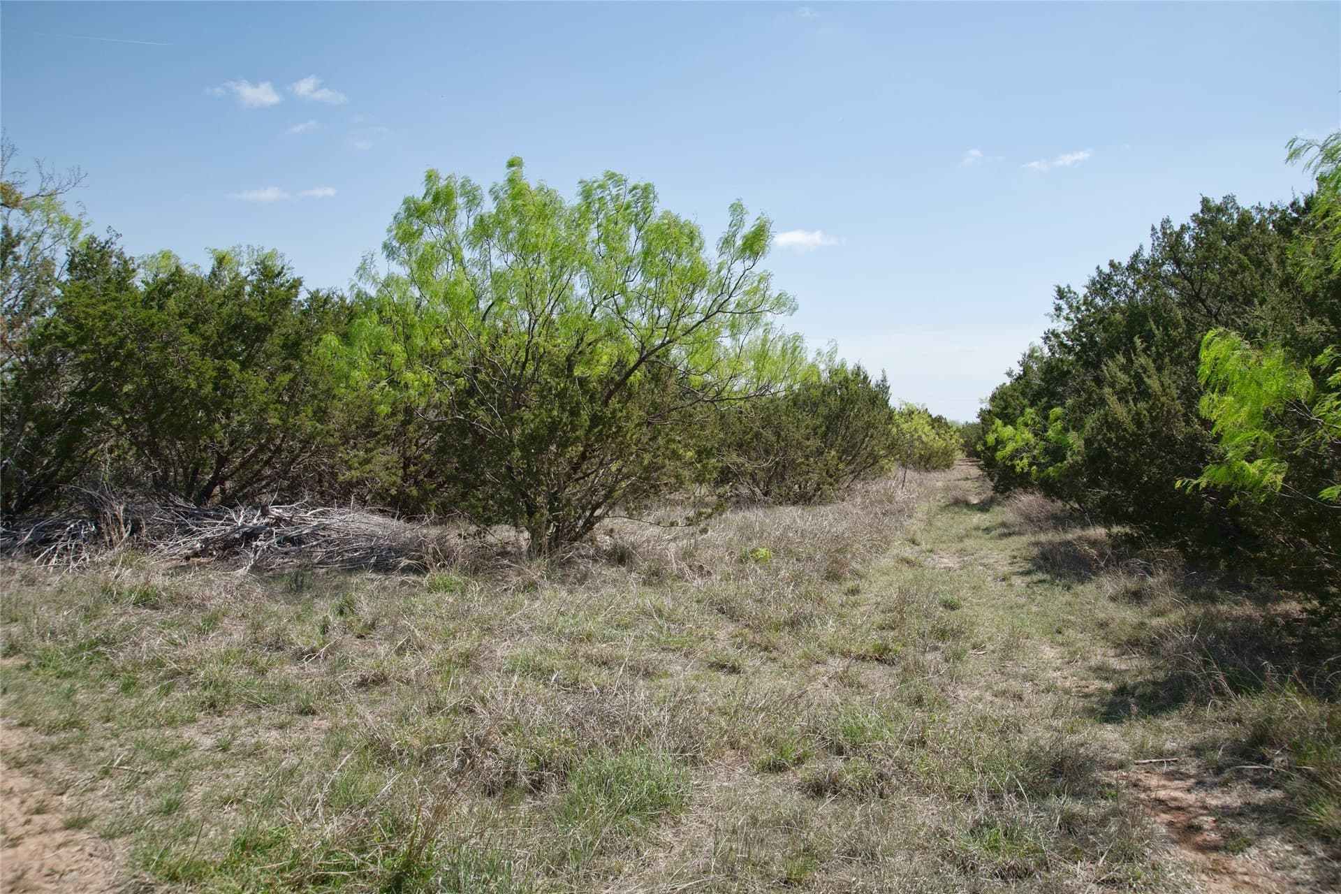 17.71 acres in Taylor County - photo 32