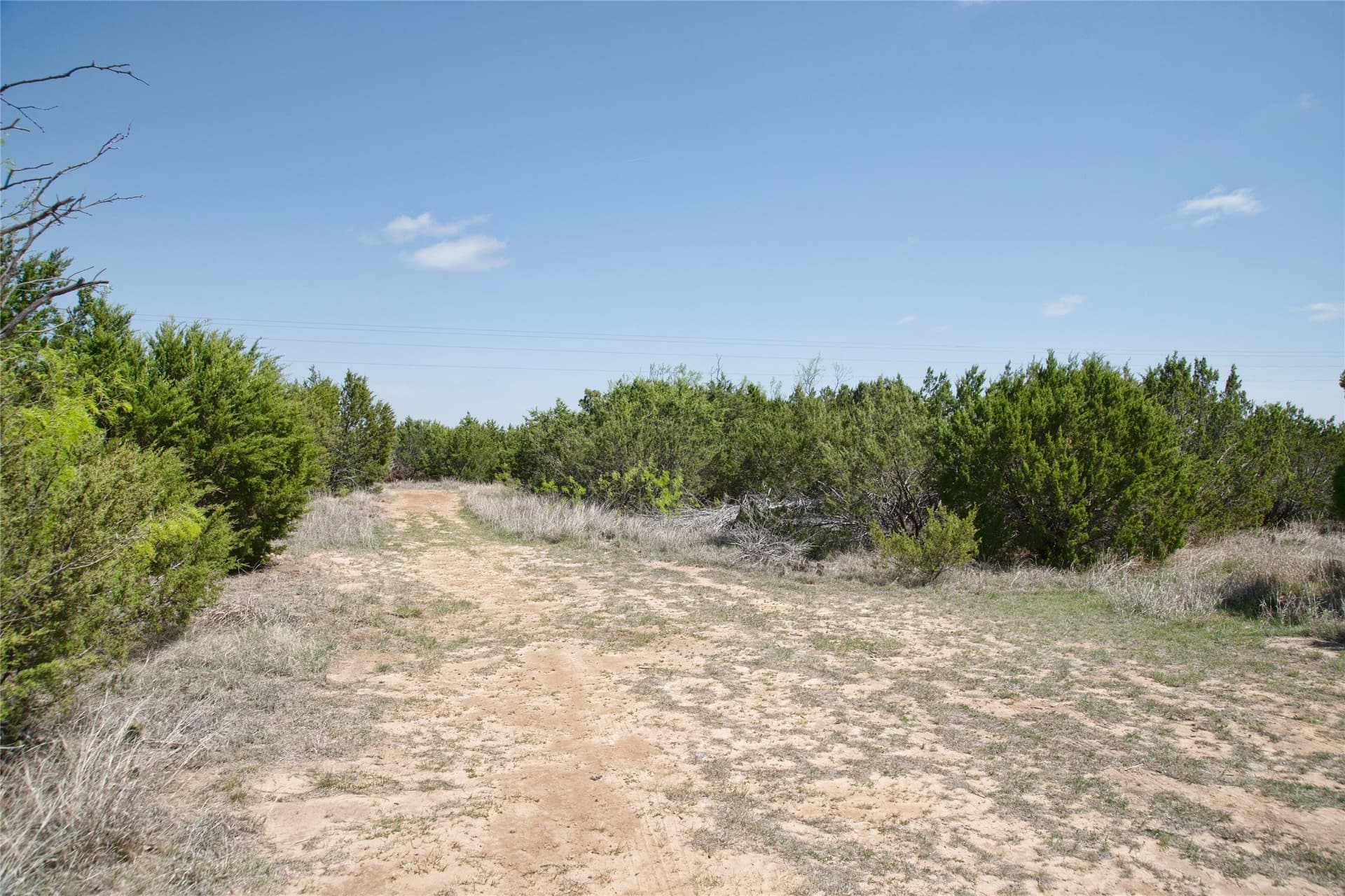 17.71 acres in Taylor County - photo 19