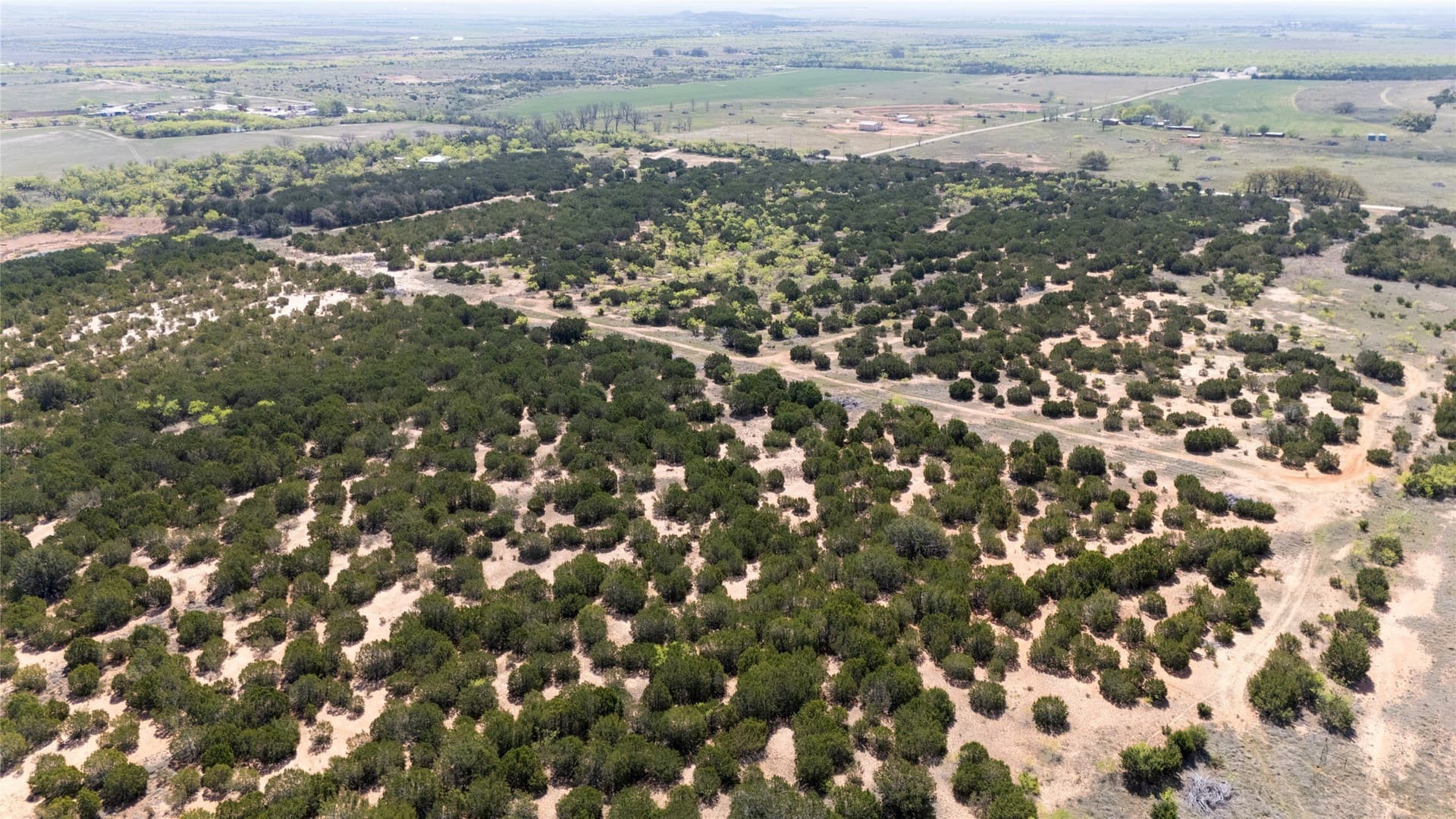 17.71 acres in Taylor County - photo 7