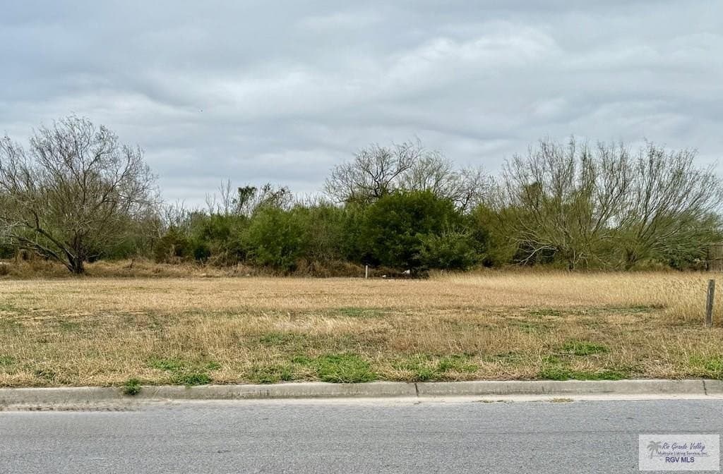 0.17 acres in CAMERON County gallery image 3