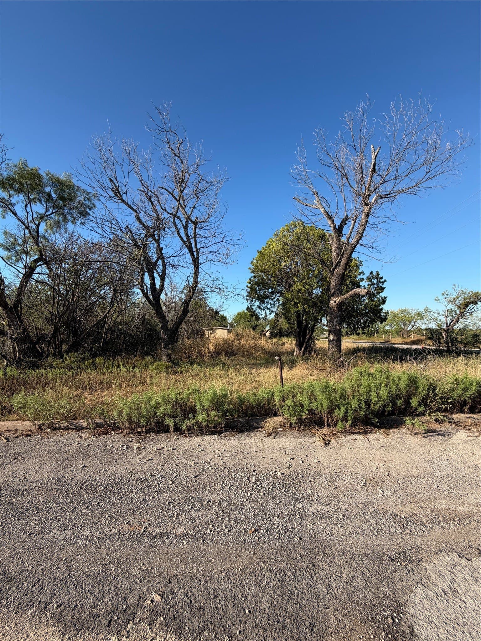0.18 acres in Coleman County - photo 5