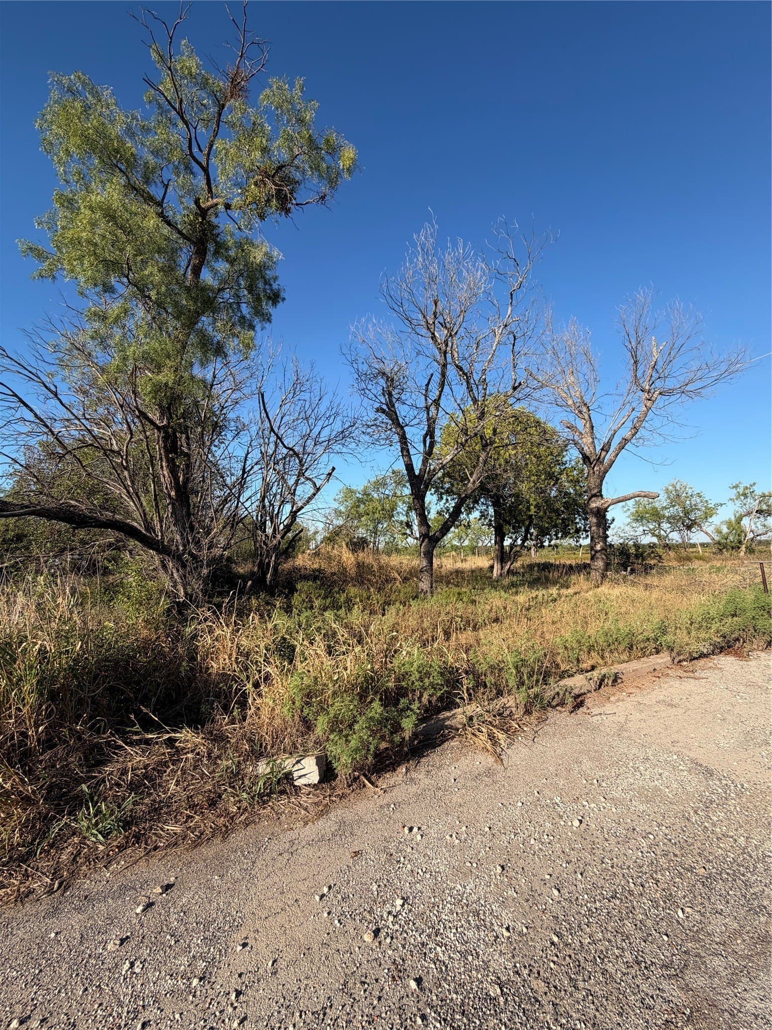 0.18 acres in Coleman County - photo 3