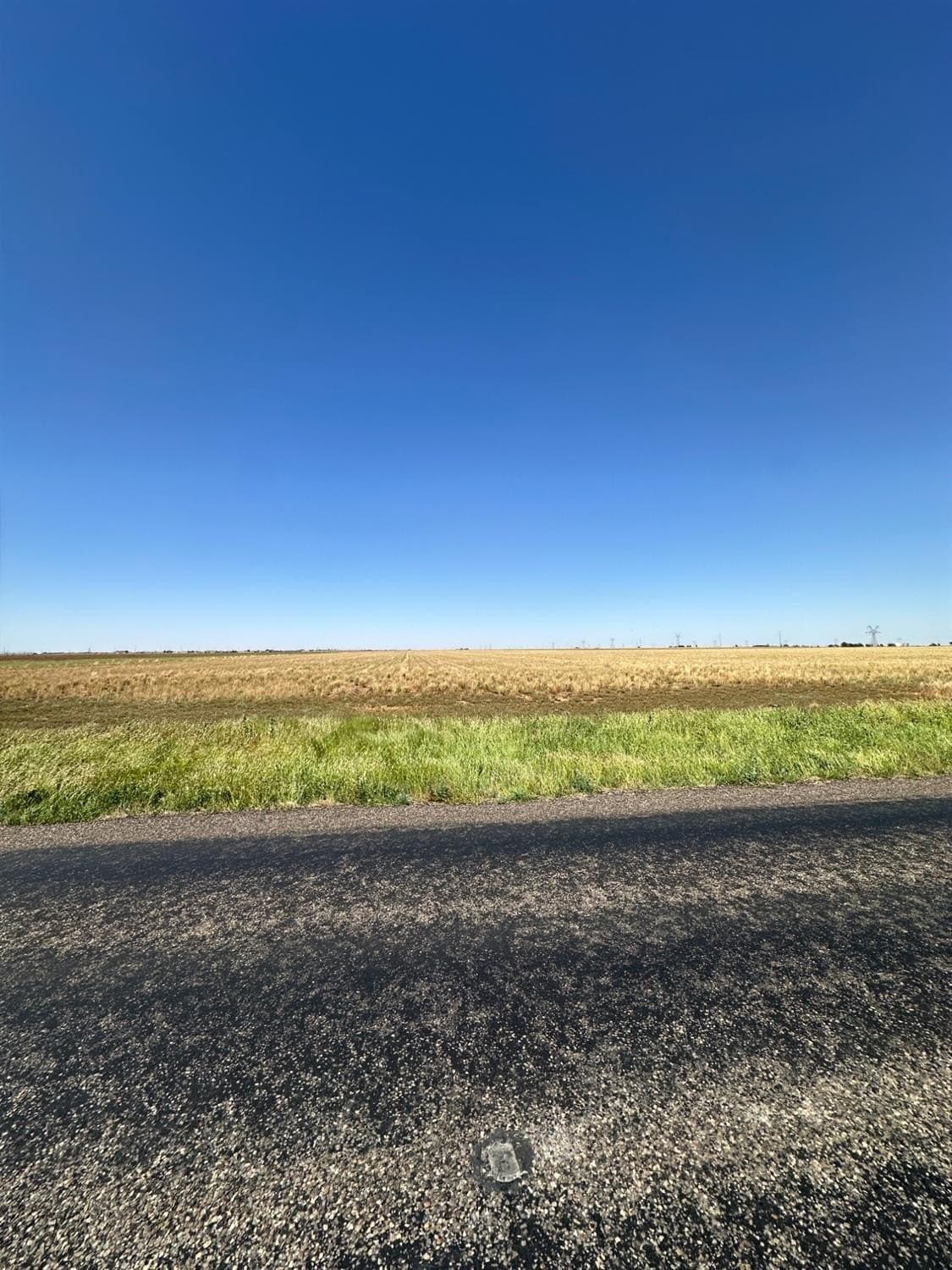 179 acres in Lubbock County gallery image 2