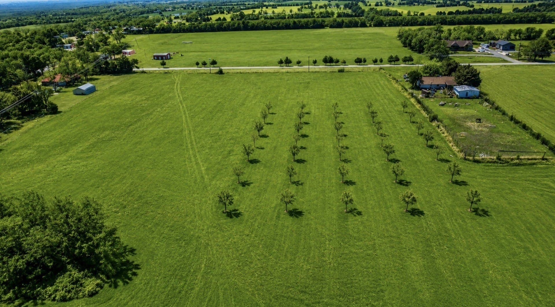 16.21 acres in Collin County - photo 2