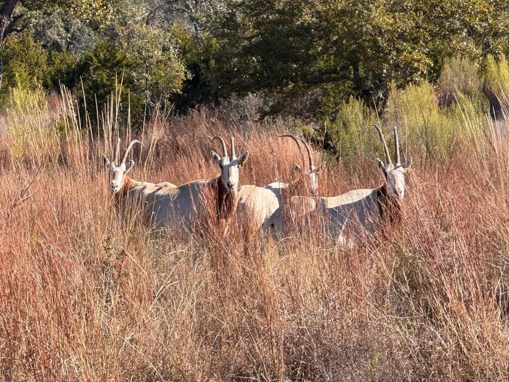 5.02 acres in Kerr County - photo 7