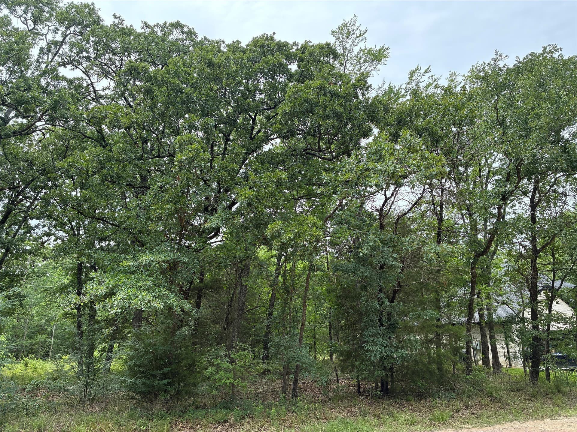 0.16 acres in Henderson County - photo 11
