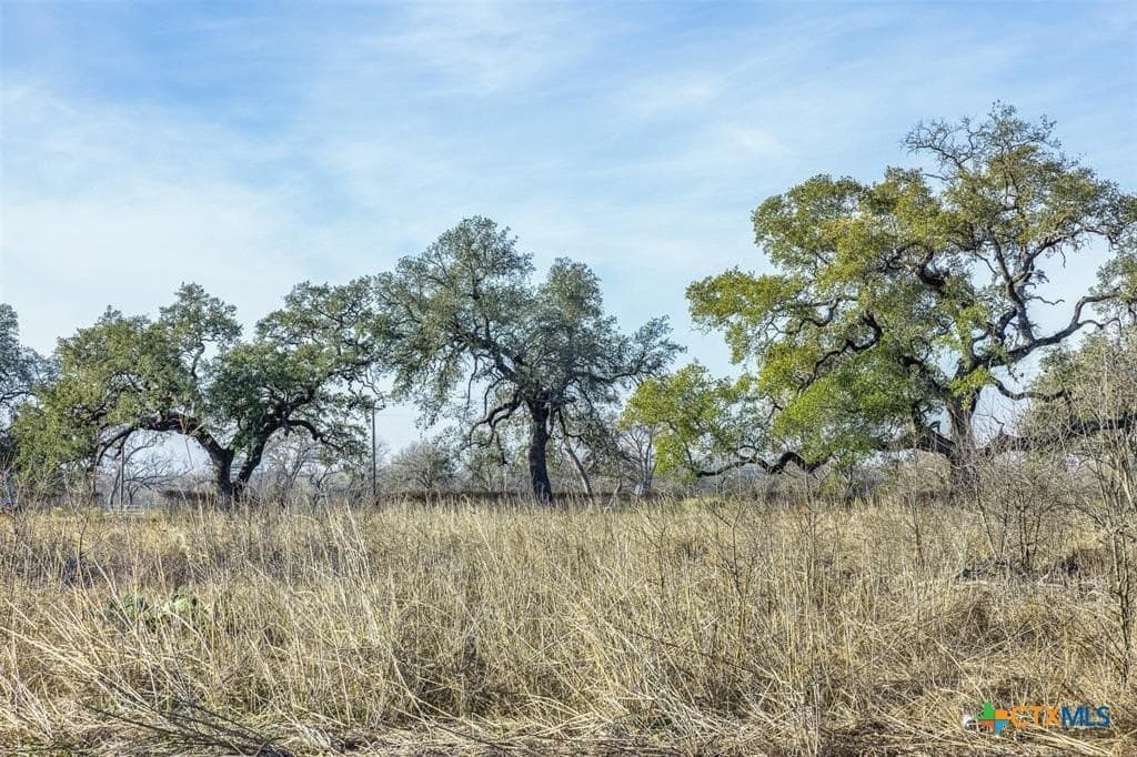 17.6 acres in Caldwell County - photo 8