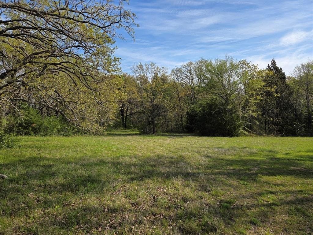 1.57 acres in Navarro County gallery image 3